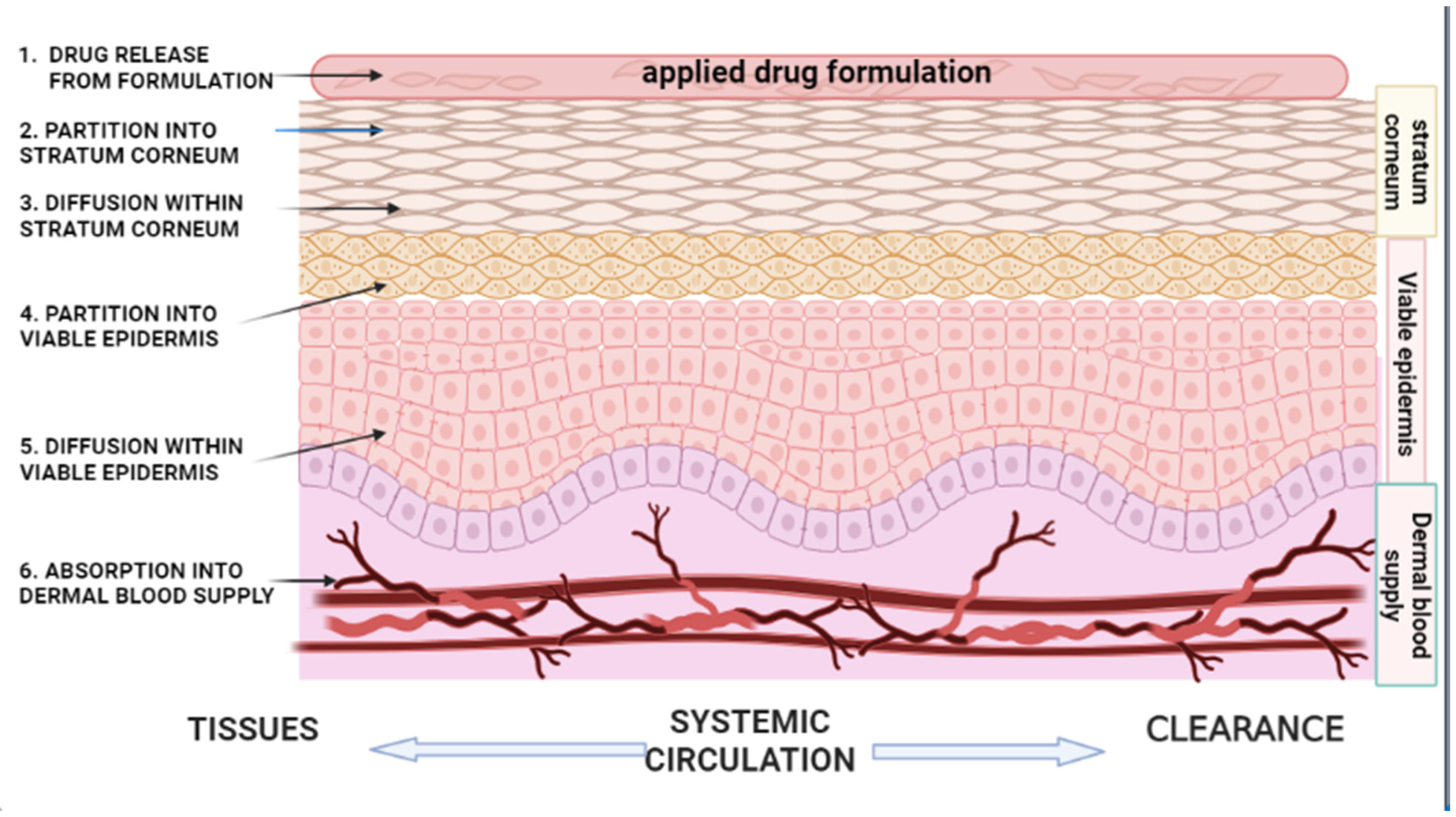 Pharmaceutics 17 00764 g001