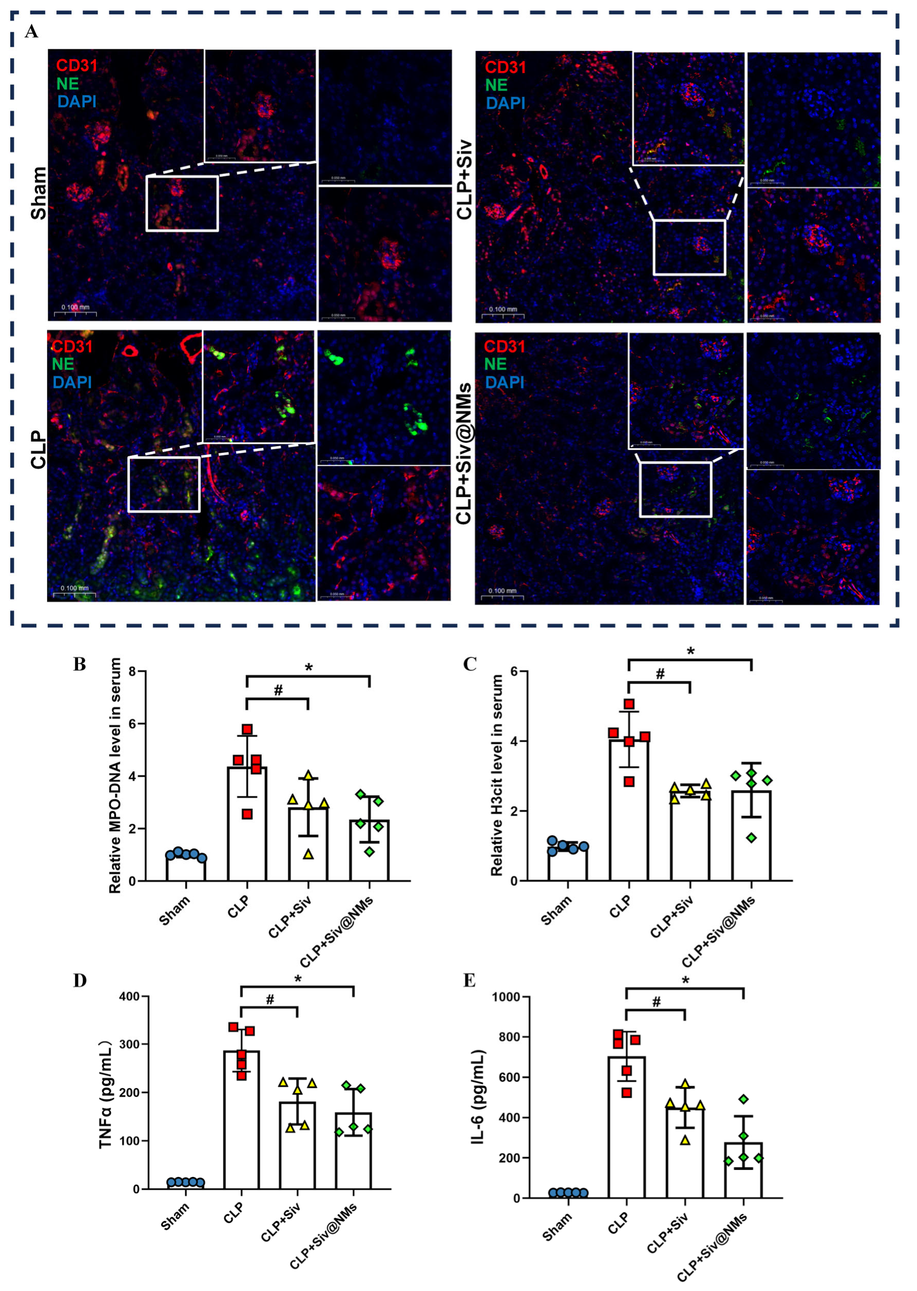 Pharmaceutics 17 00766 g004