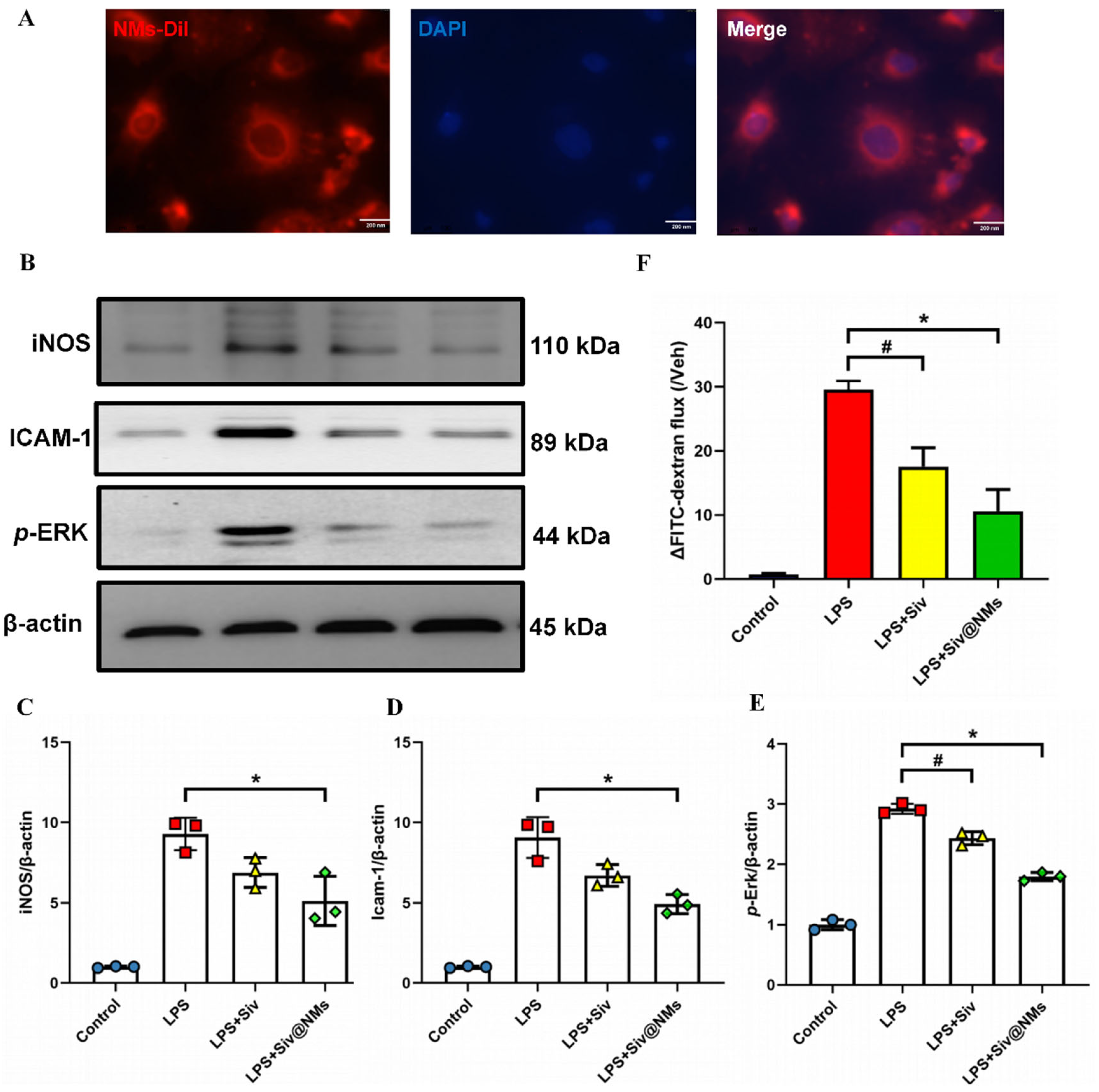 Pharmaceutics 17 00766 g005