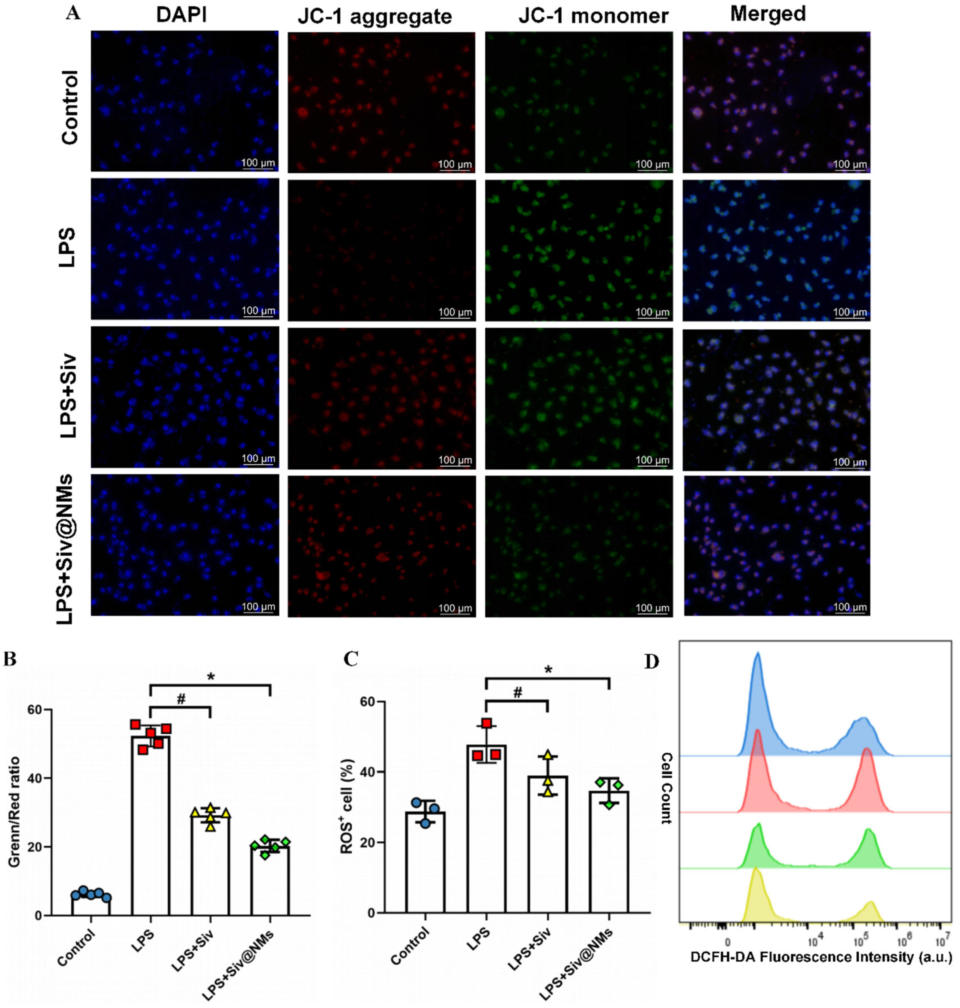 Pharmaceutics 17 00766 g006