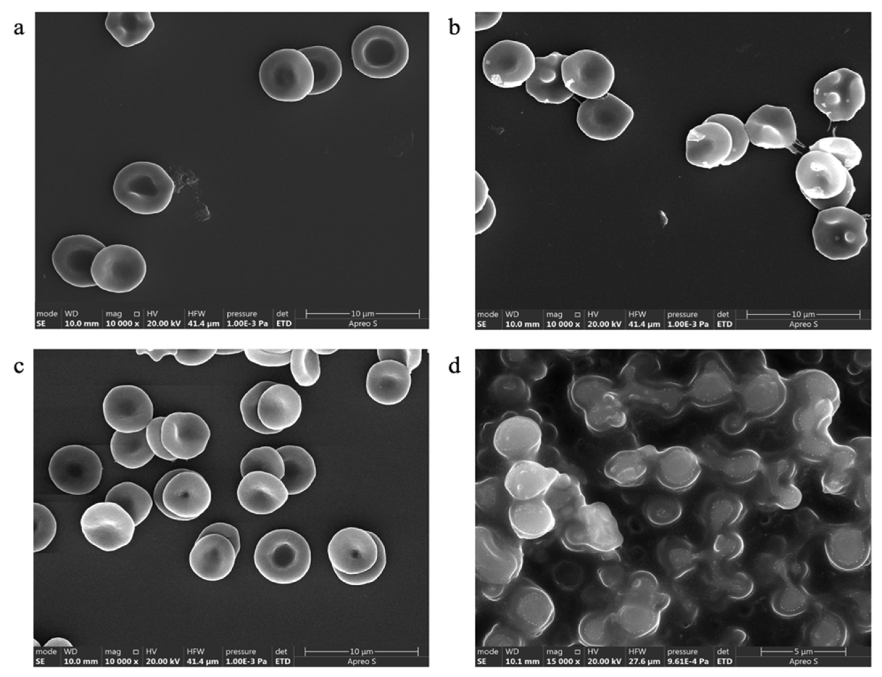 Pharmaceutics 17 00774 g014