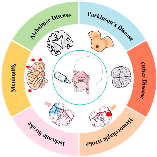 Intranasal Drug Delivery Technology in the Treatment of Central