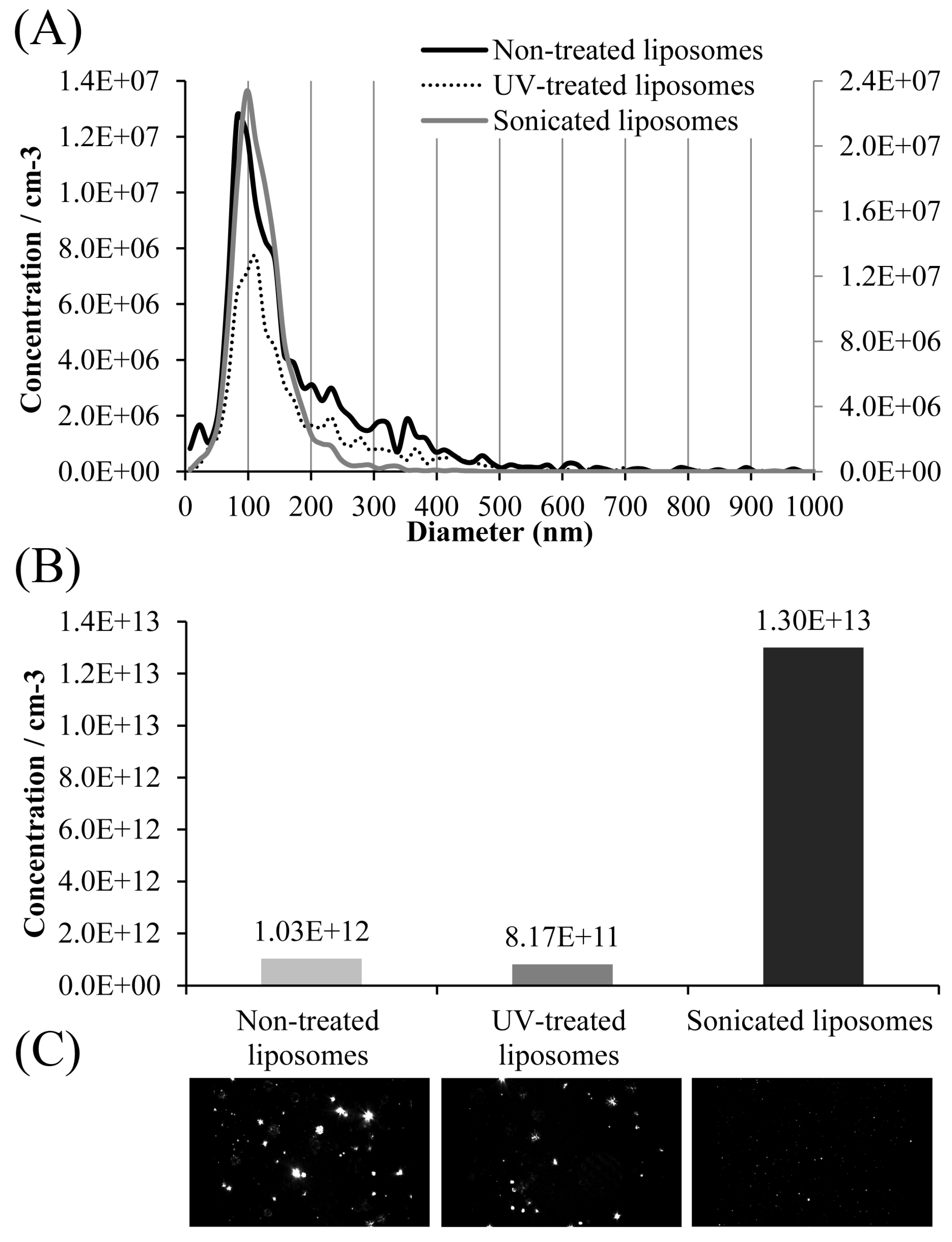 Pharmaceutics 17 00776 g003