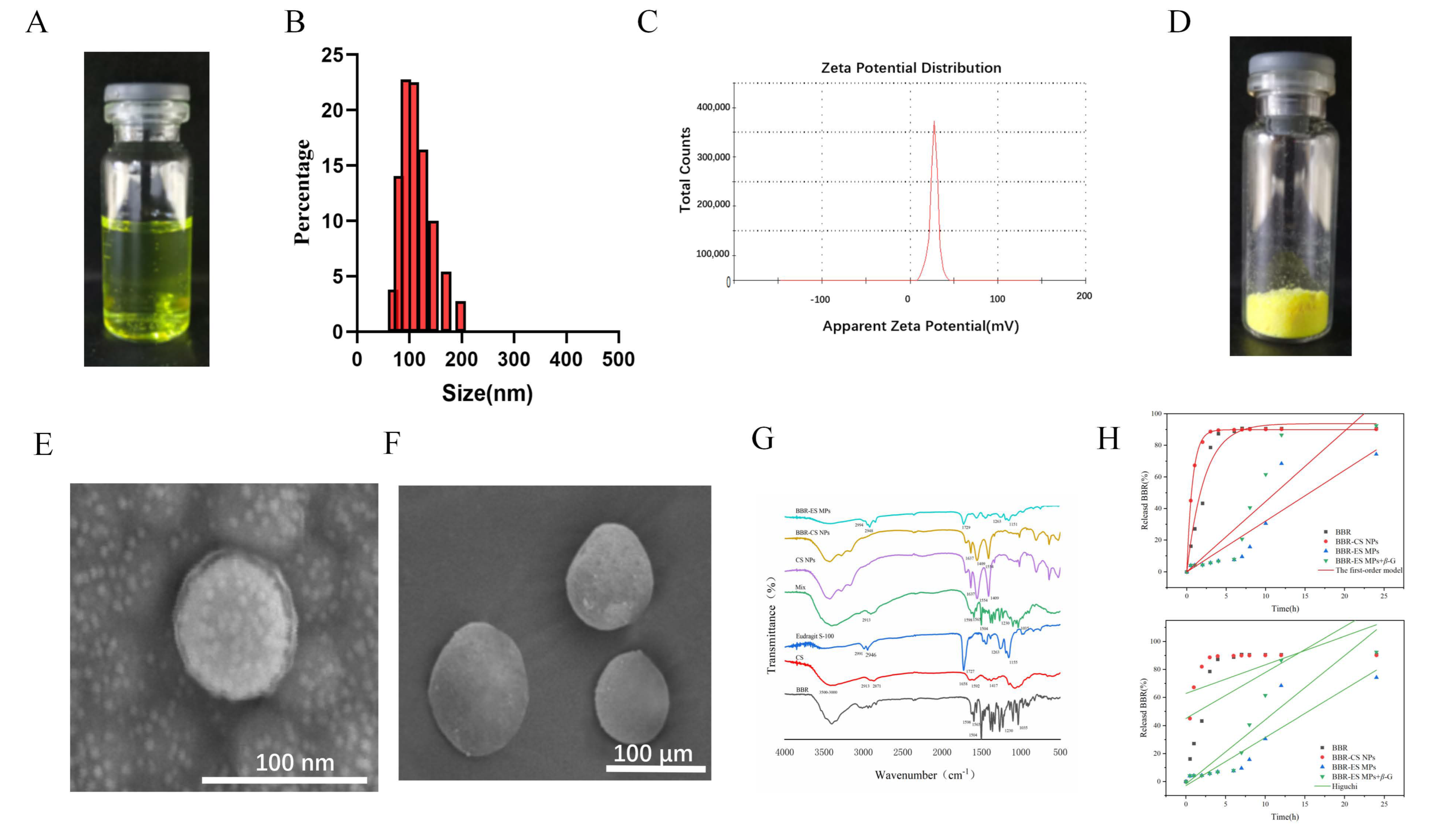 Pharmaceutics 17 00778 g001a