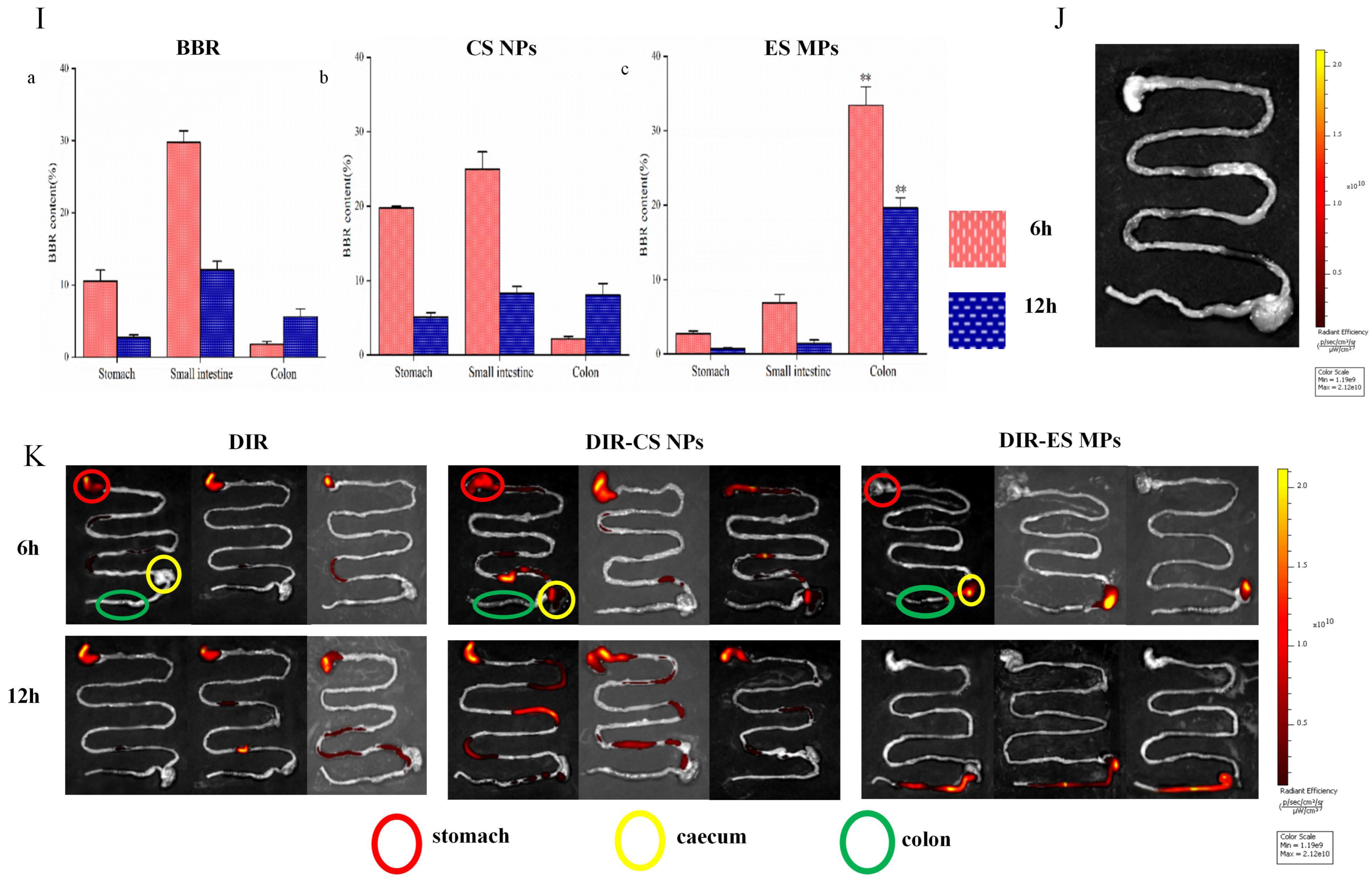 Pharmaceutics 17 00778 g001b