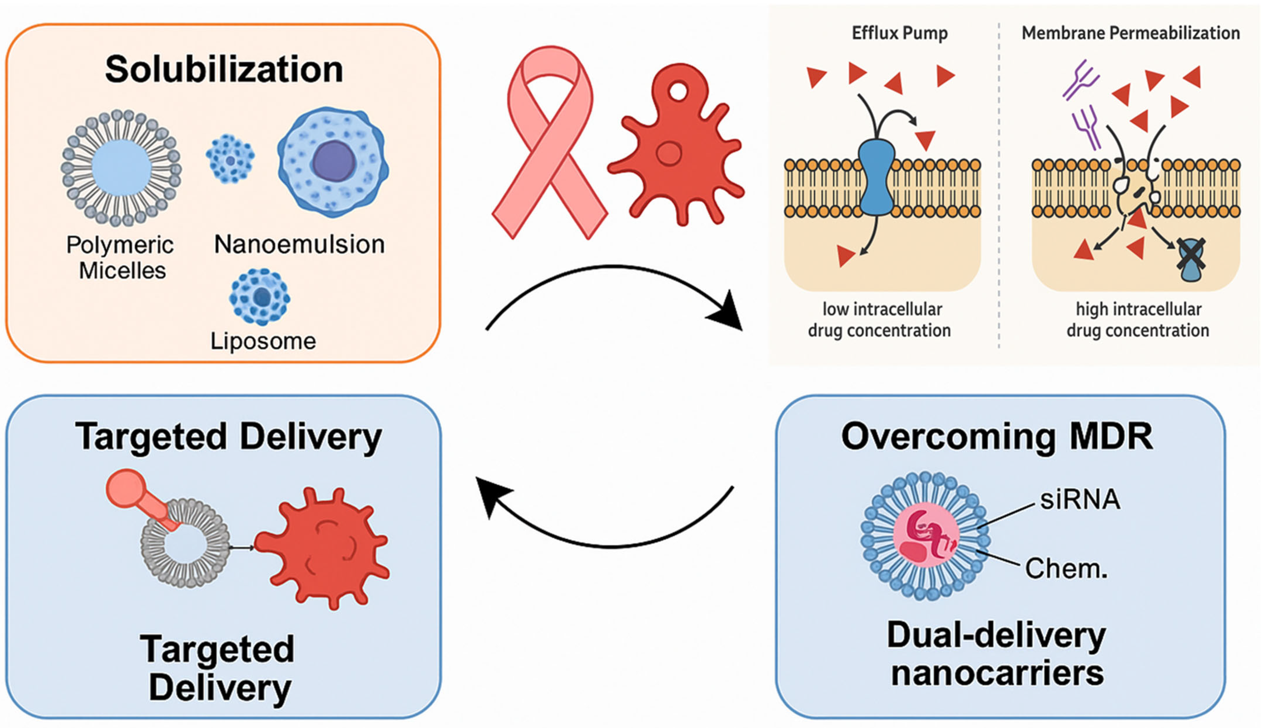 Pharmaceutics 17 00779 g001