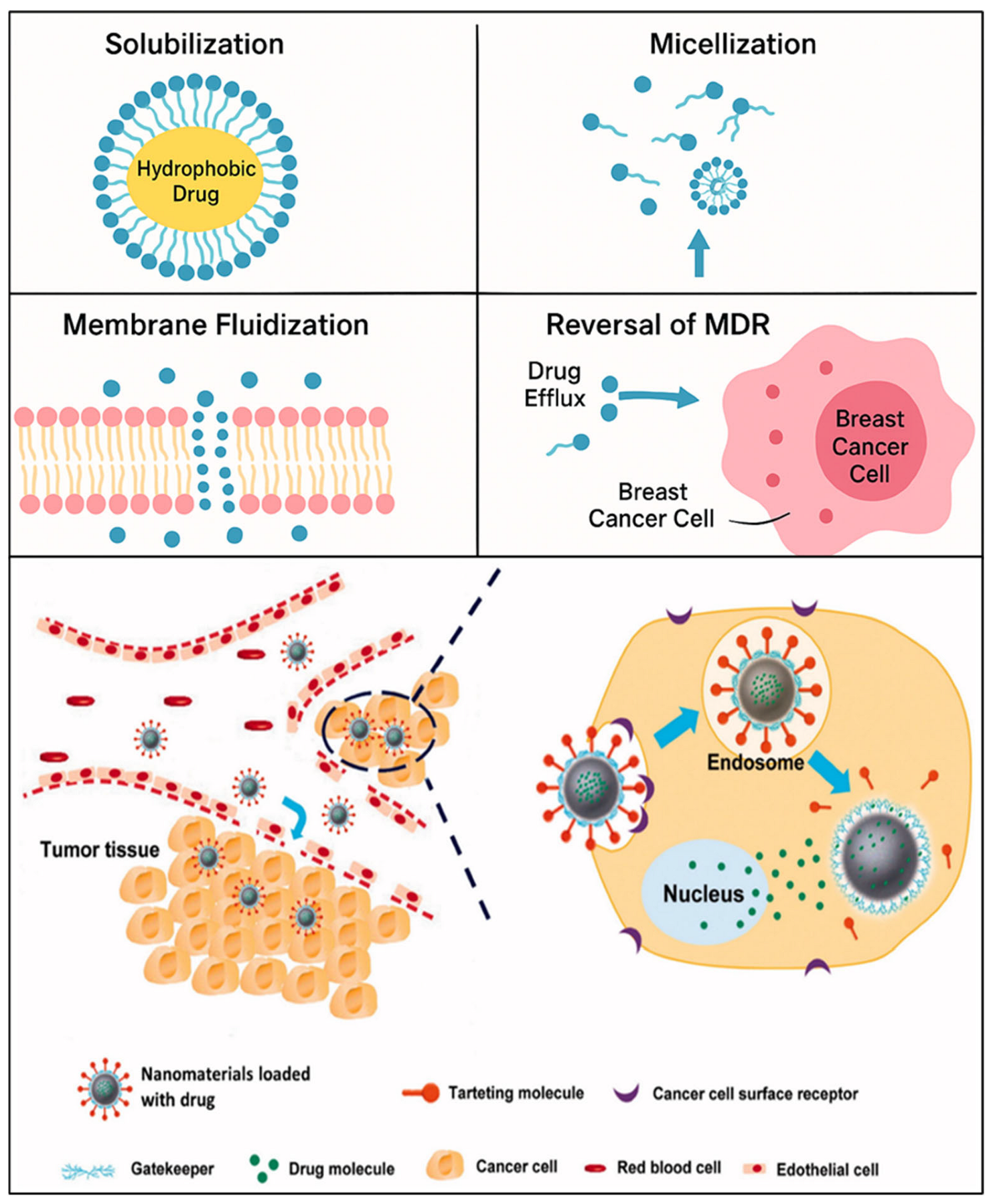 Pharmaceutics 17 00779 g002