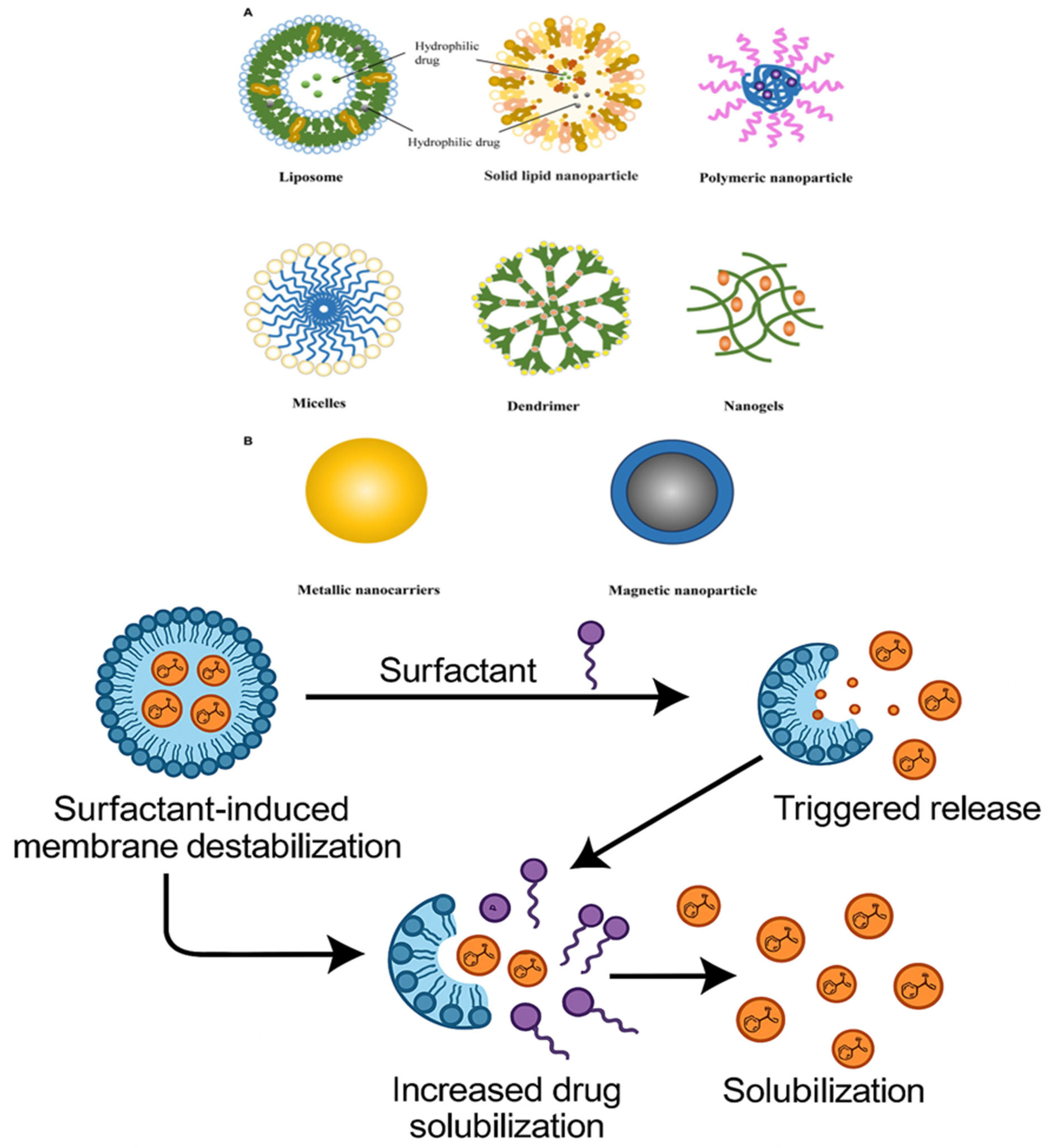Pharmaceutics 17 00779 g004