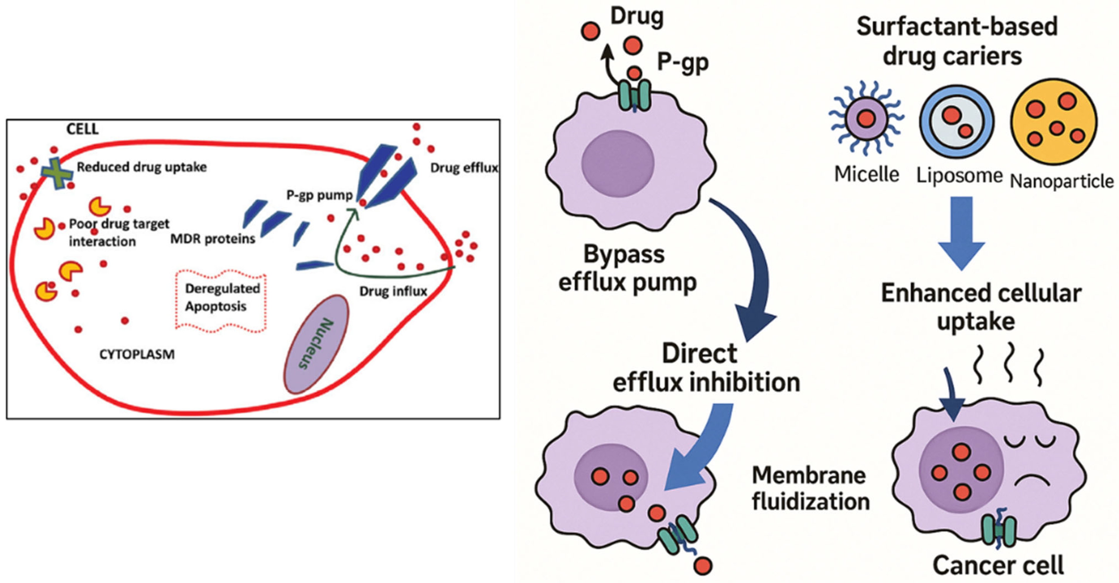 Pharmaceutics 17 00779 g005