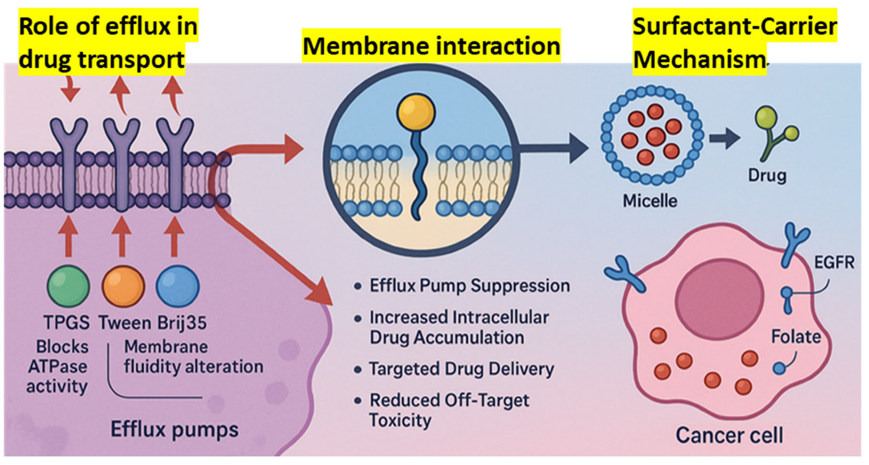 Pharmaceutics 17 00779 g006