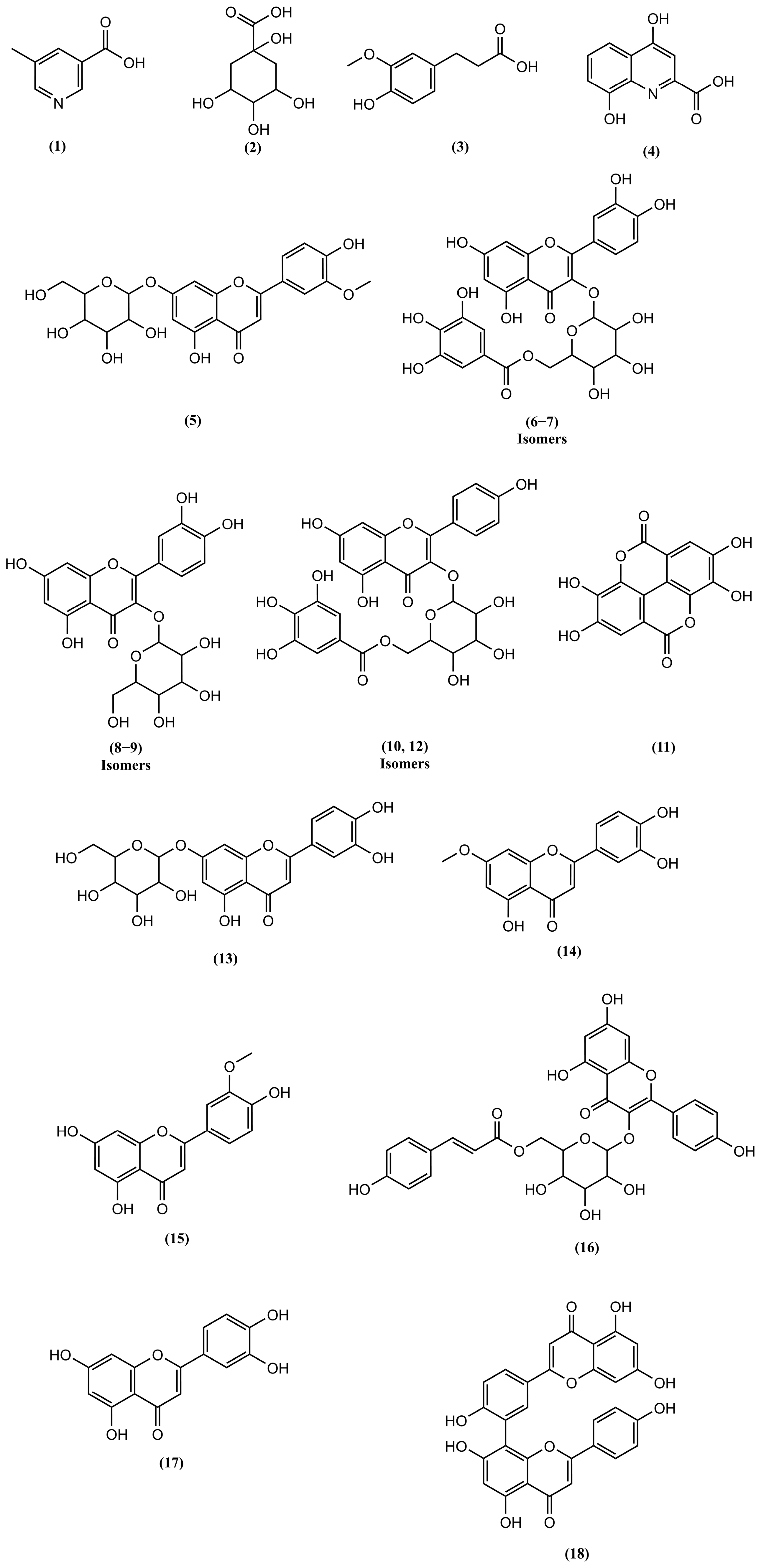 Pharmaceutics 17 00780 g001