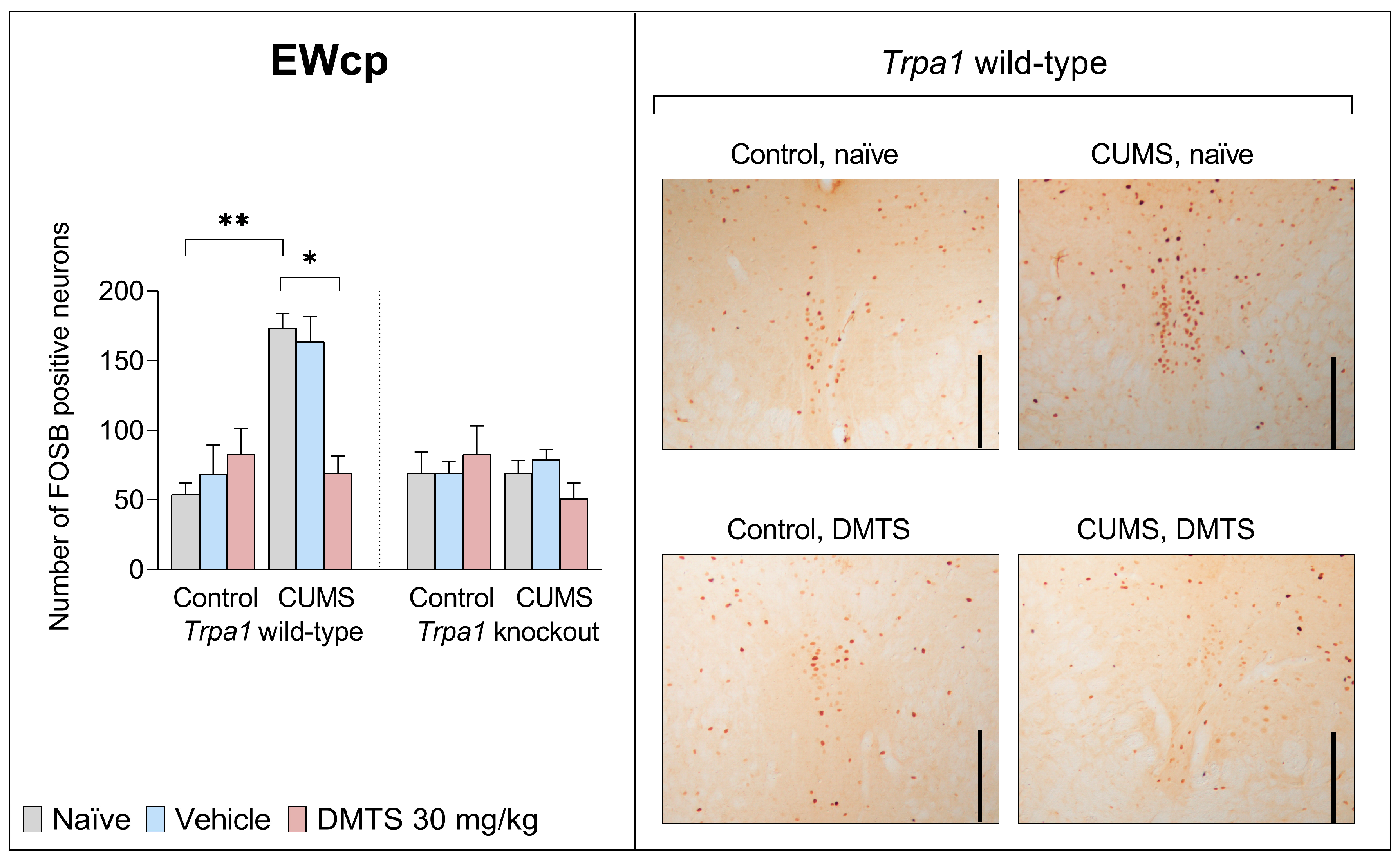 Pharmaceutics 17 00781 g005 Pharmaceutics 17 00781 g005
