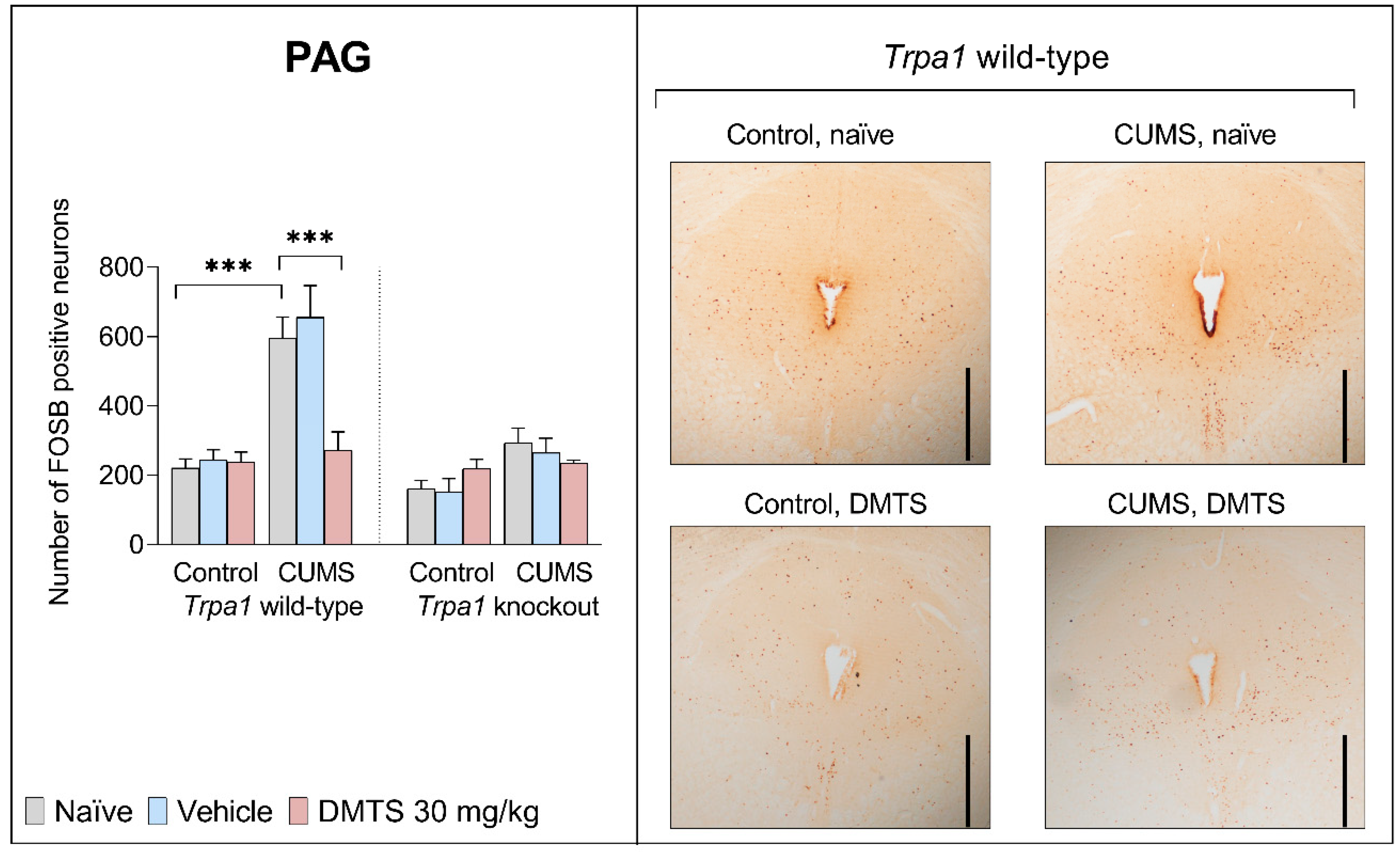 Pharmaceutics 17 00781 g007 Pharmaceutics 17 00781 g007