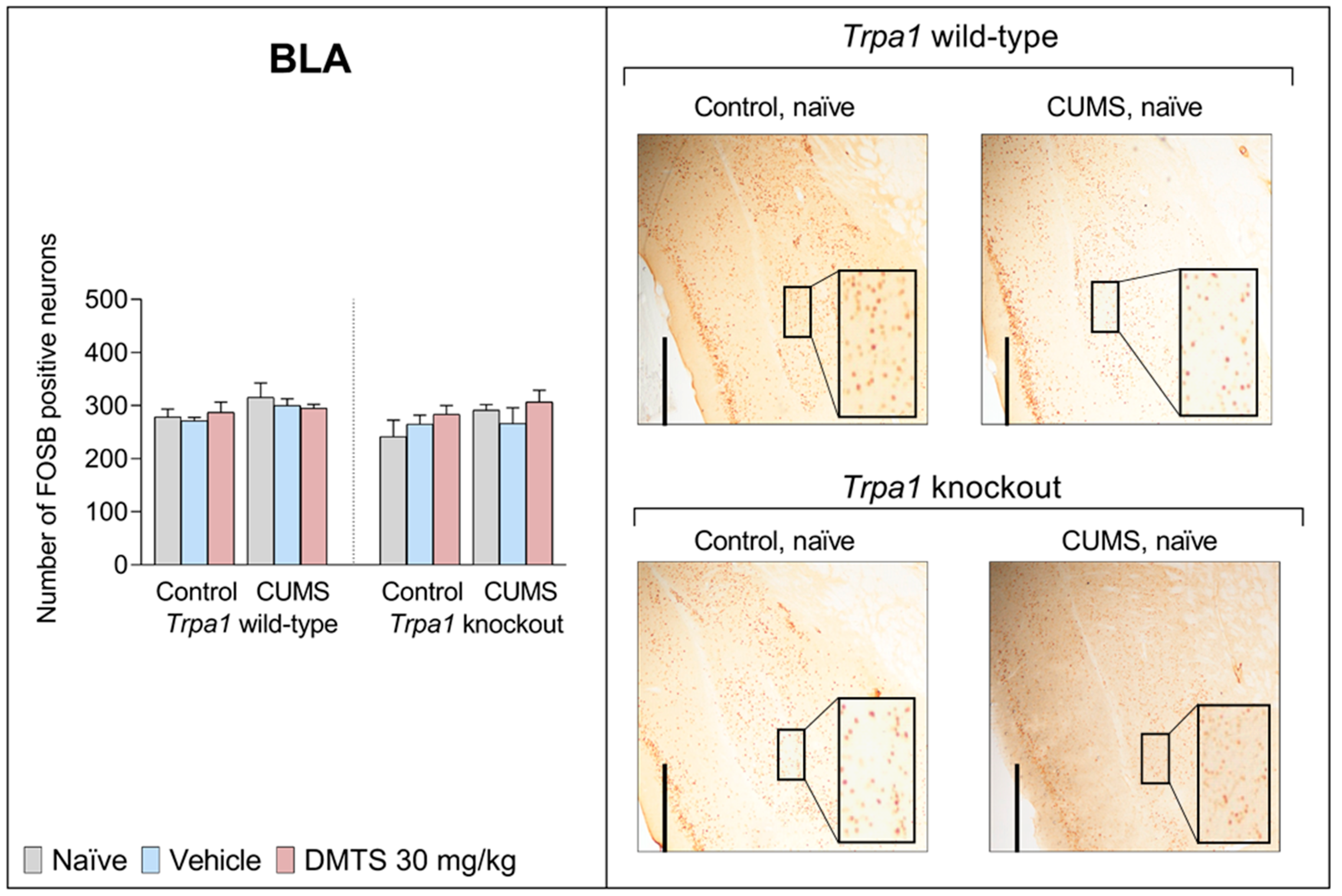 Pharmaceutics 17 00781 g012 Pharmaceutics 17 00781 g012