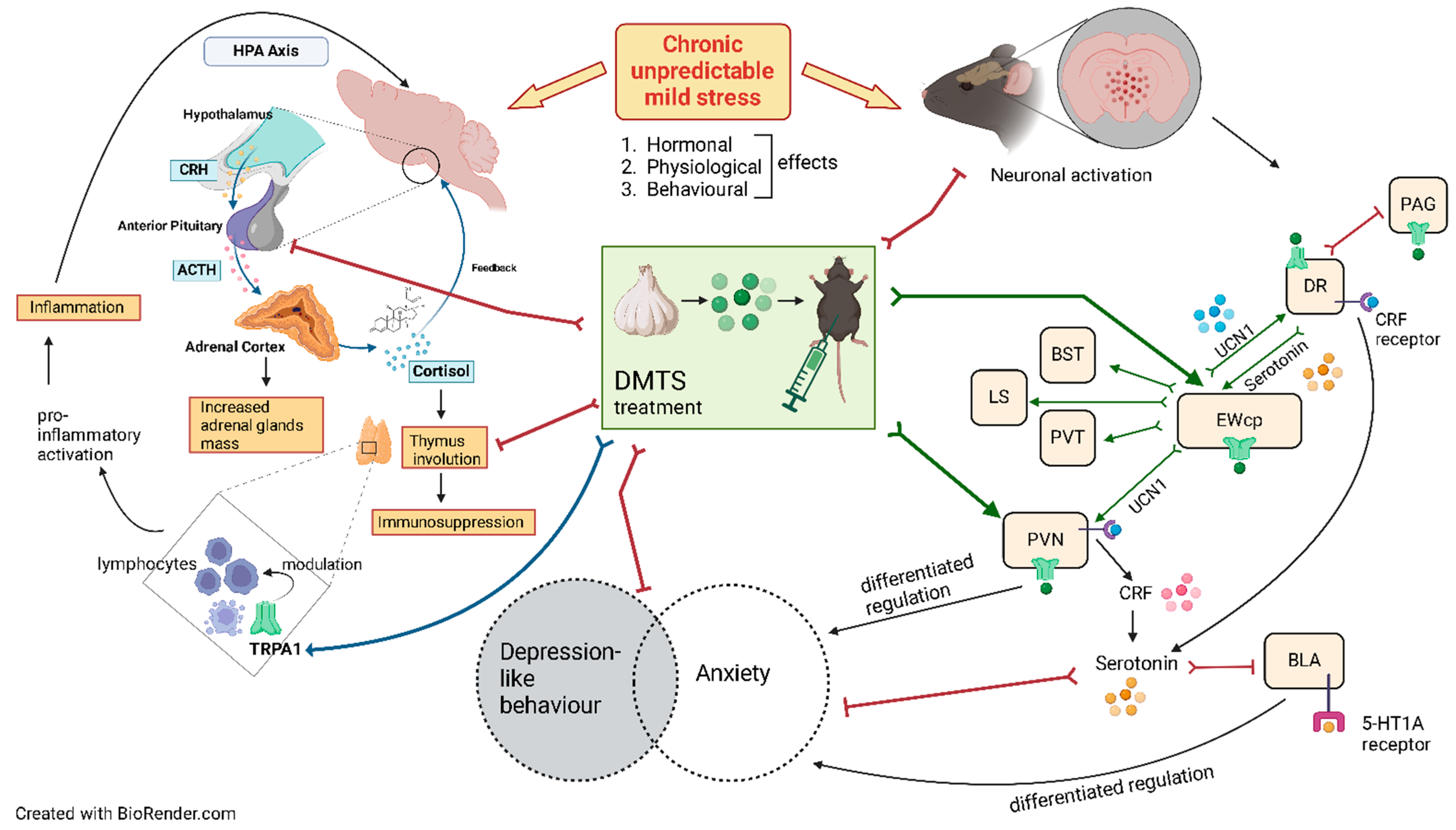 Pharmaceutics 17 00781 g013 Pharmaceutics 17 00781 g013