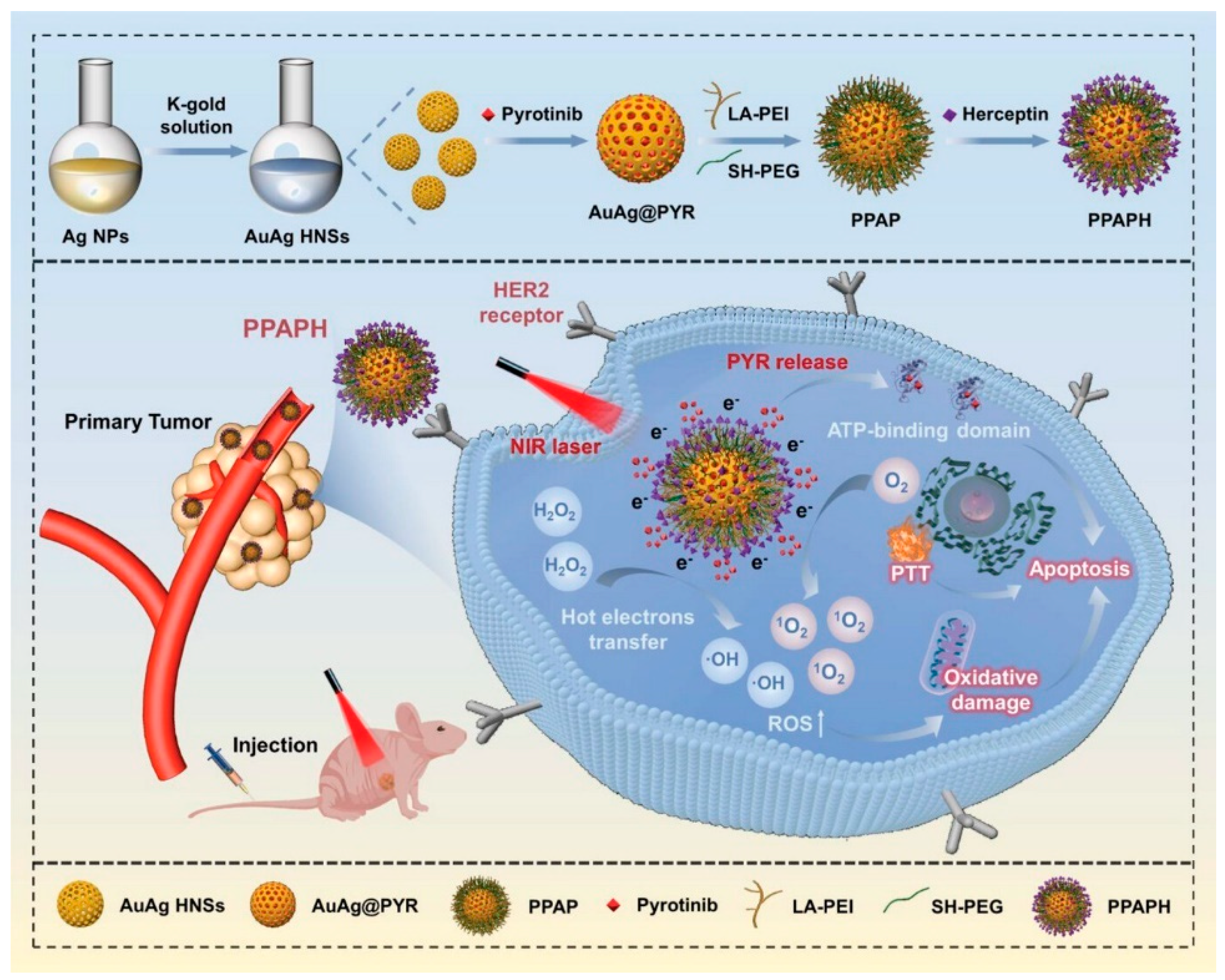 Pharmaceutics 17 00783 g004