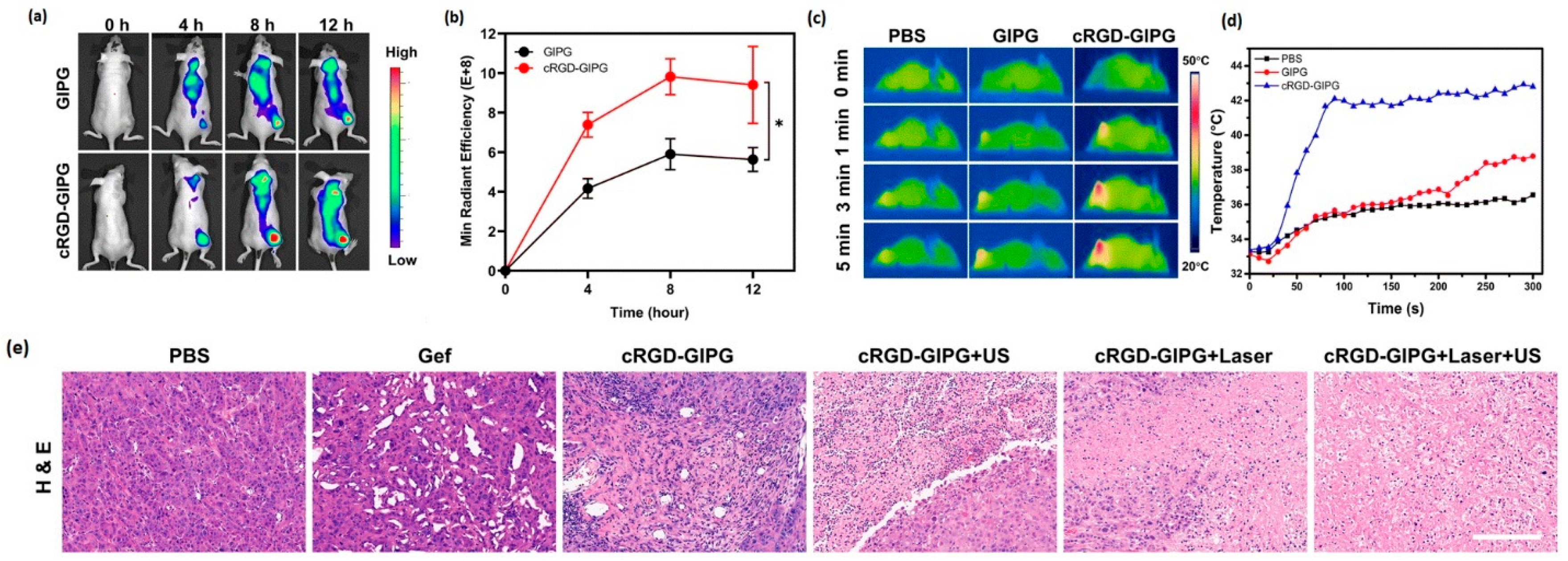 Pharmaceutics 17 00783 g005