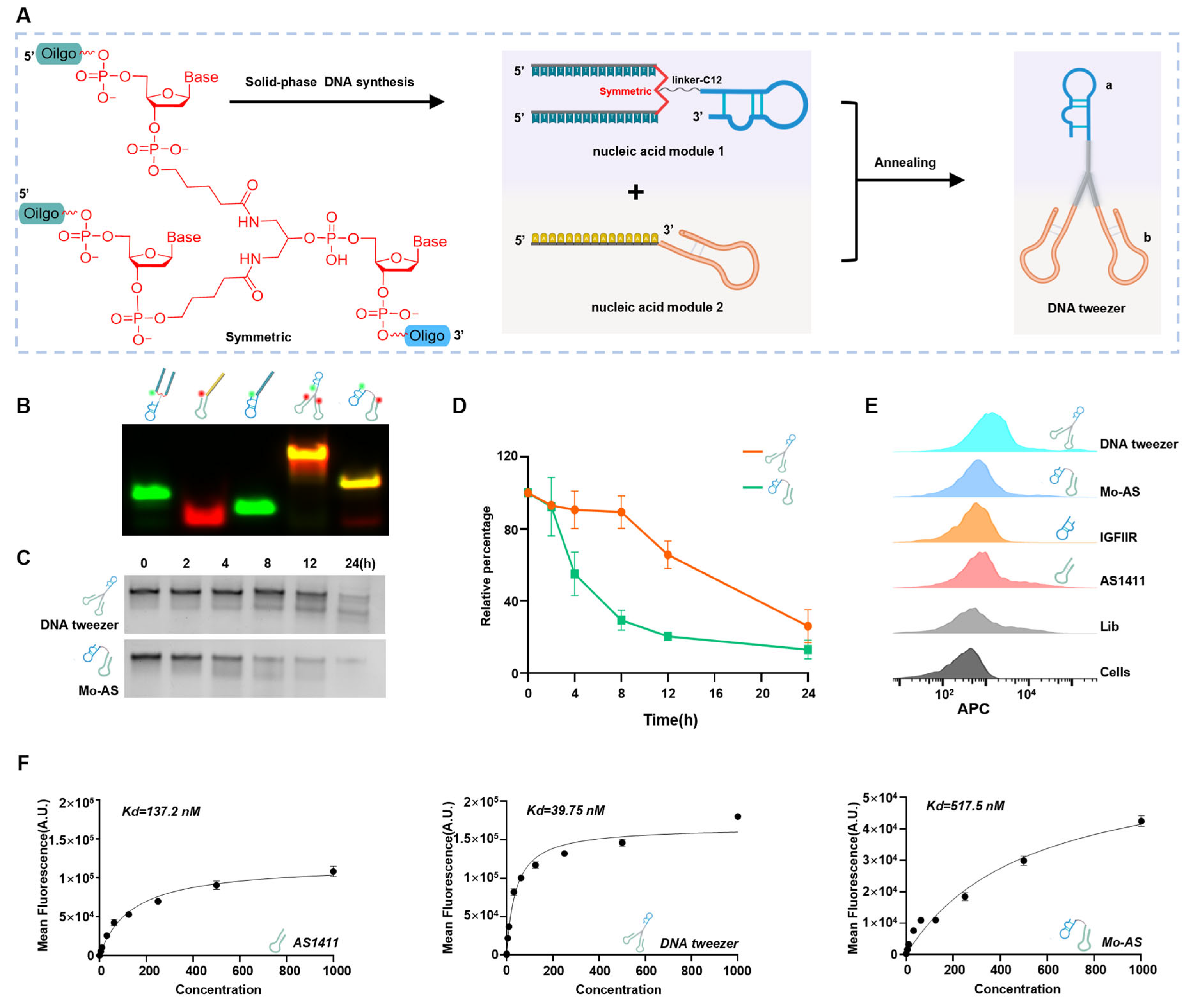 Pharmaceutics 17 00785 g001