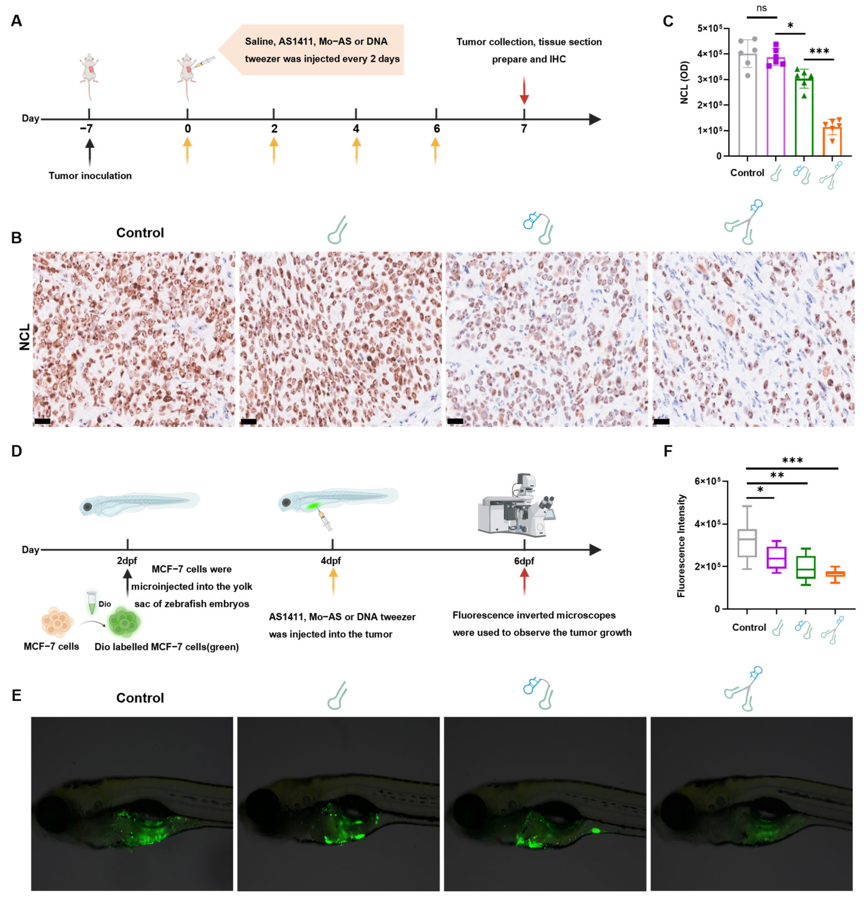 Pharmaceutics 17 00785 g005