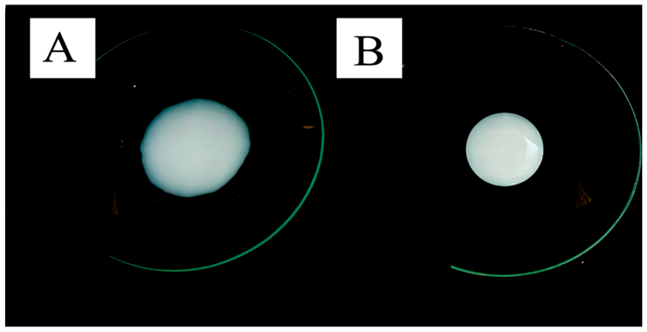 Pharmaceutics 17 00786 g002 Pharmaceutics 17 00786 g002