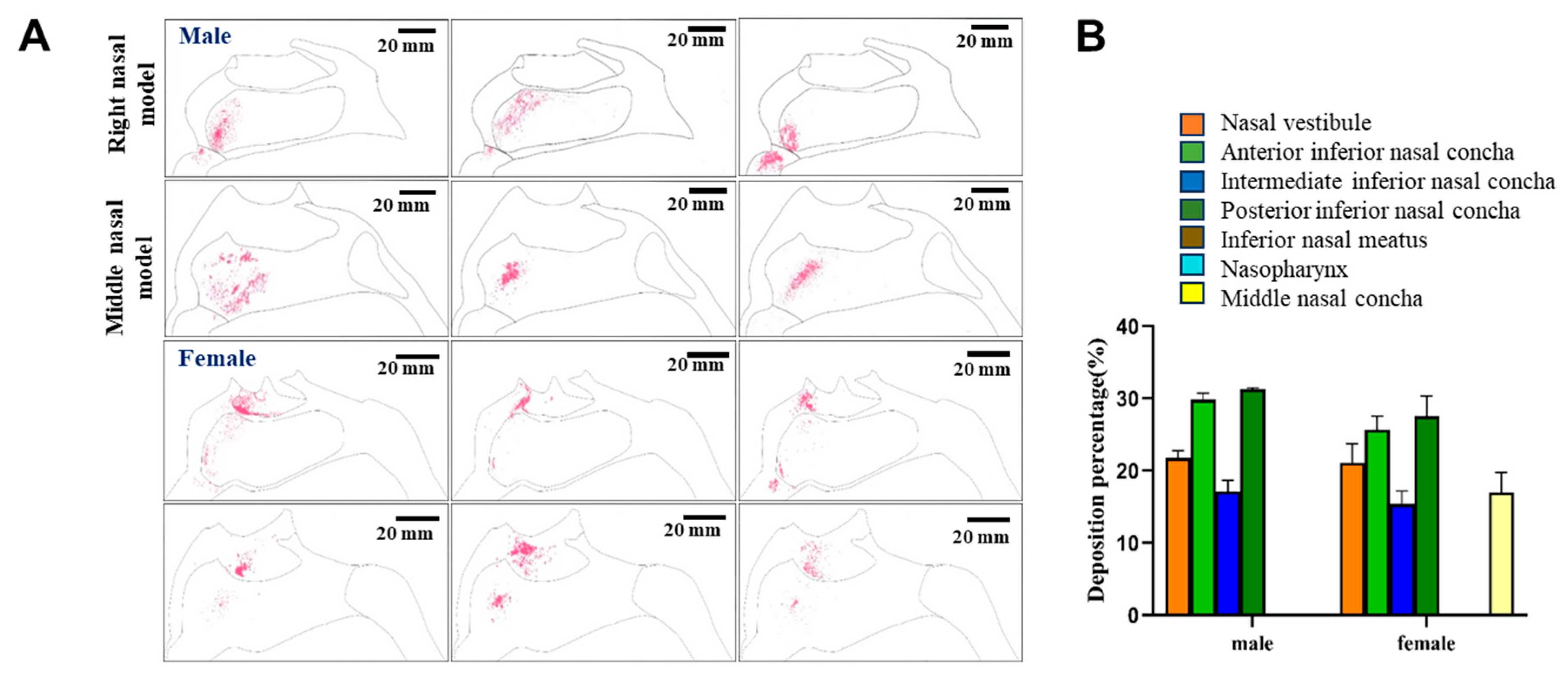 Pharmaceutics 17 00788 g008