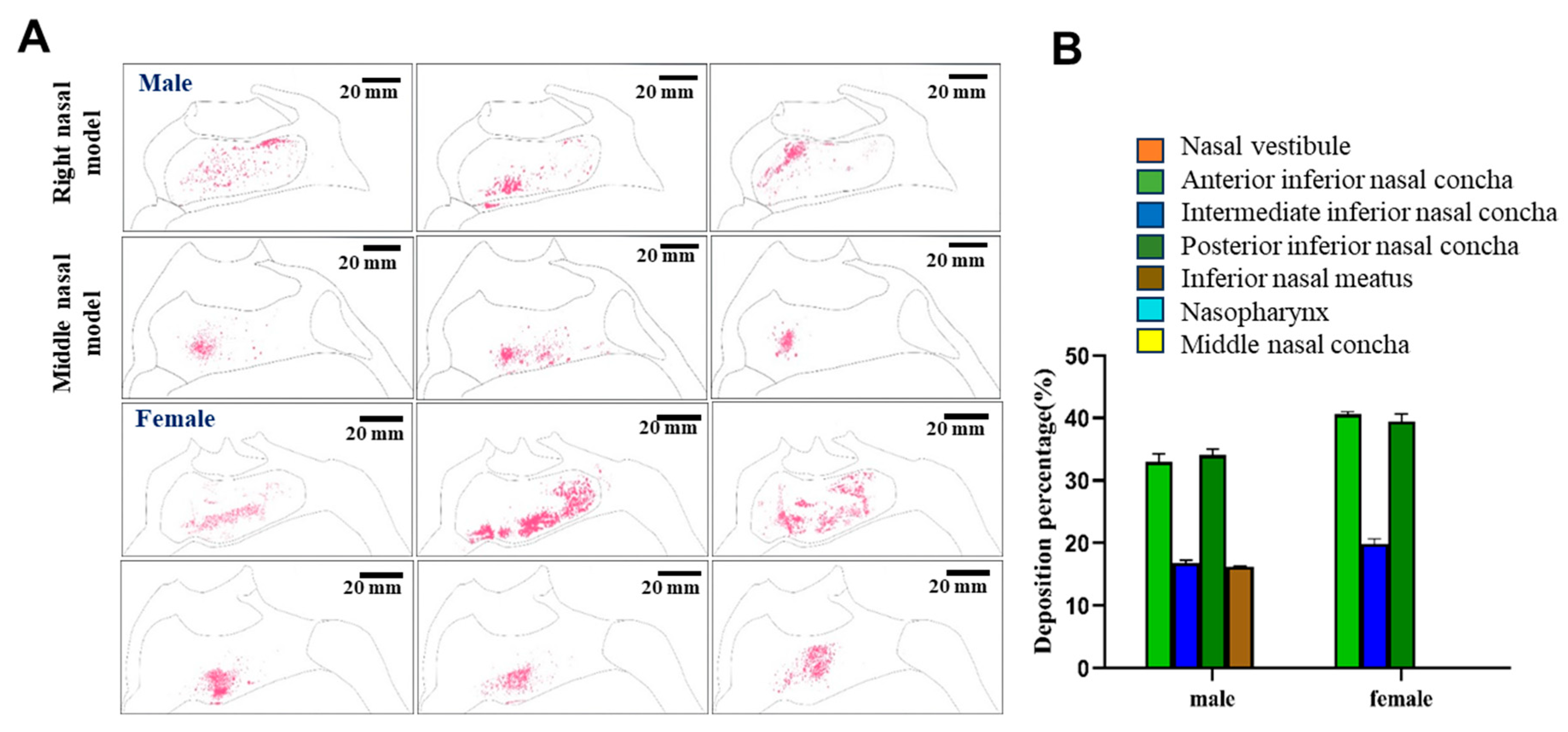 Pharmaceutics 17 00788 g009