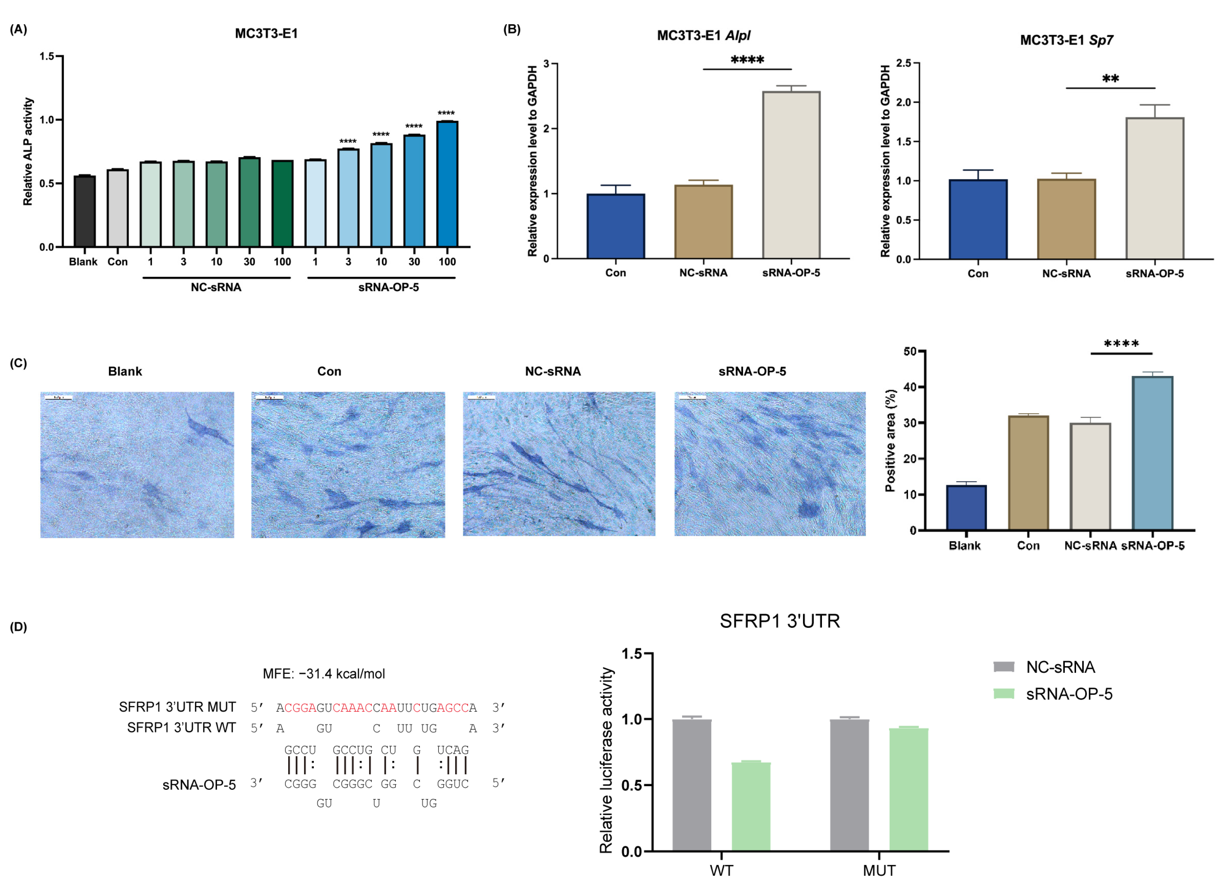 Pharmaceutics 17 00789 g001