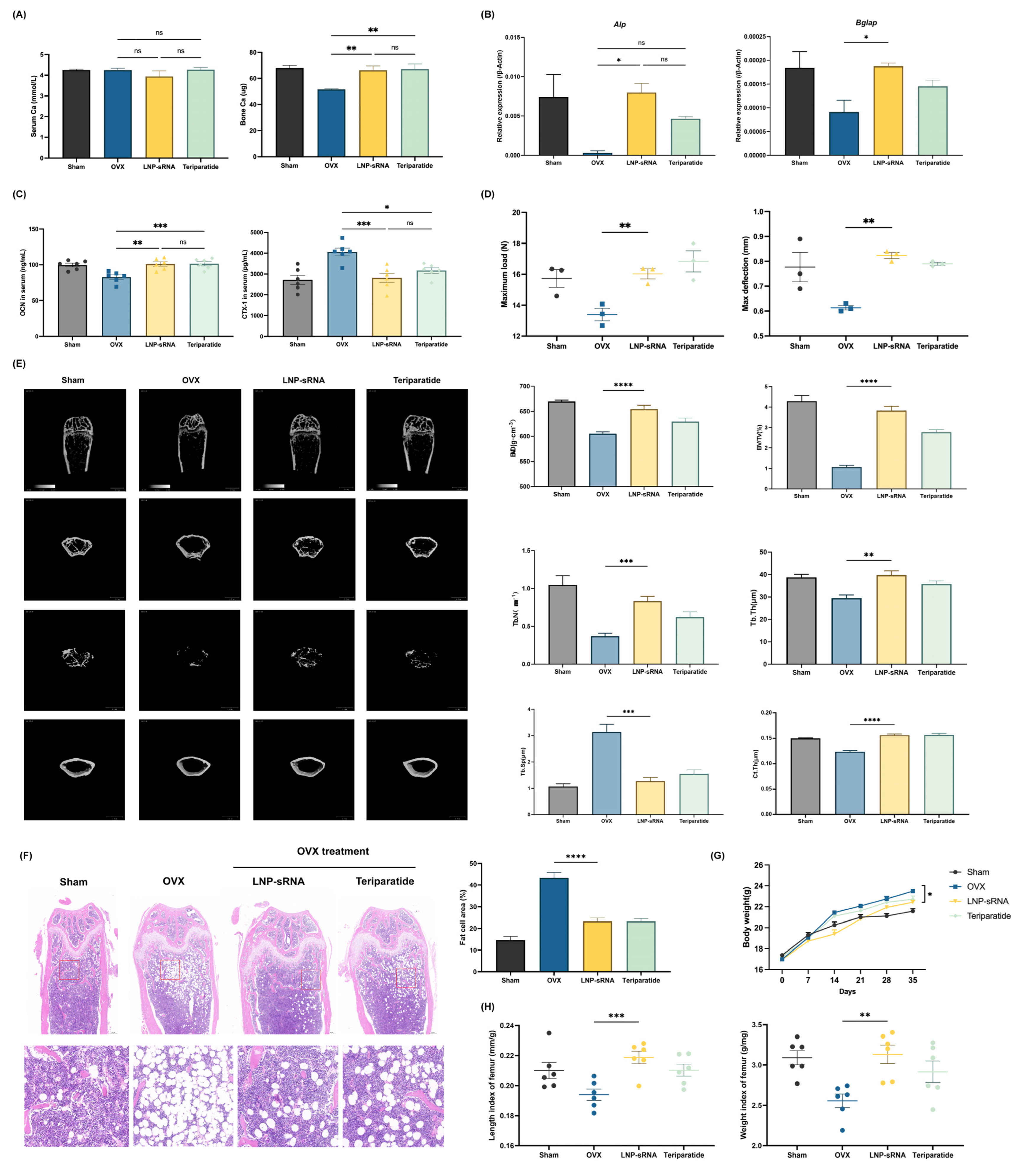 Pharmaceutics 17 00789 g004