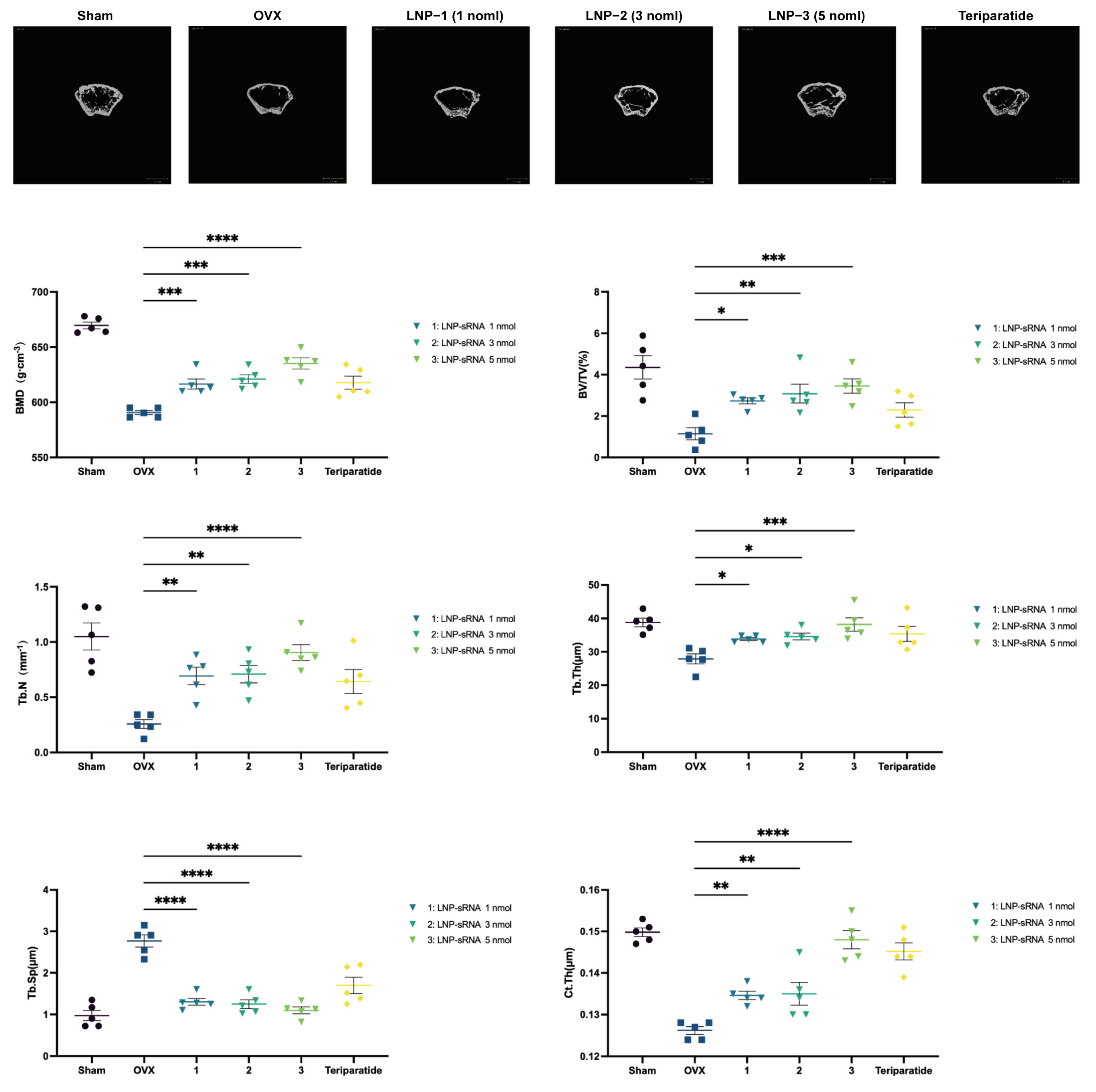 Pharmaceutics 17 00789 g005