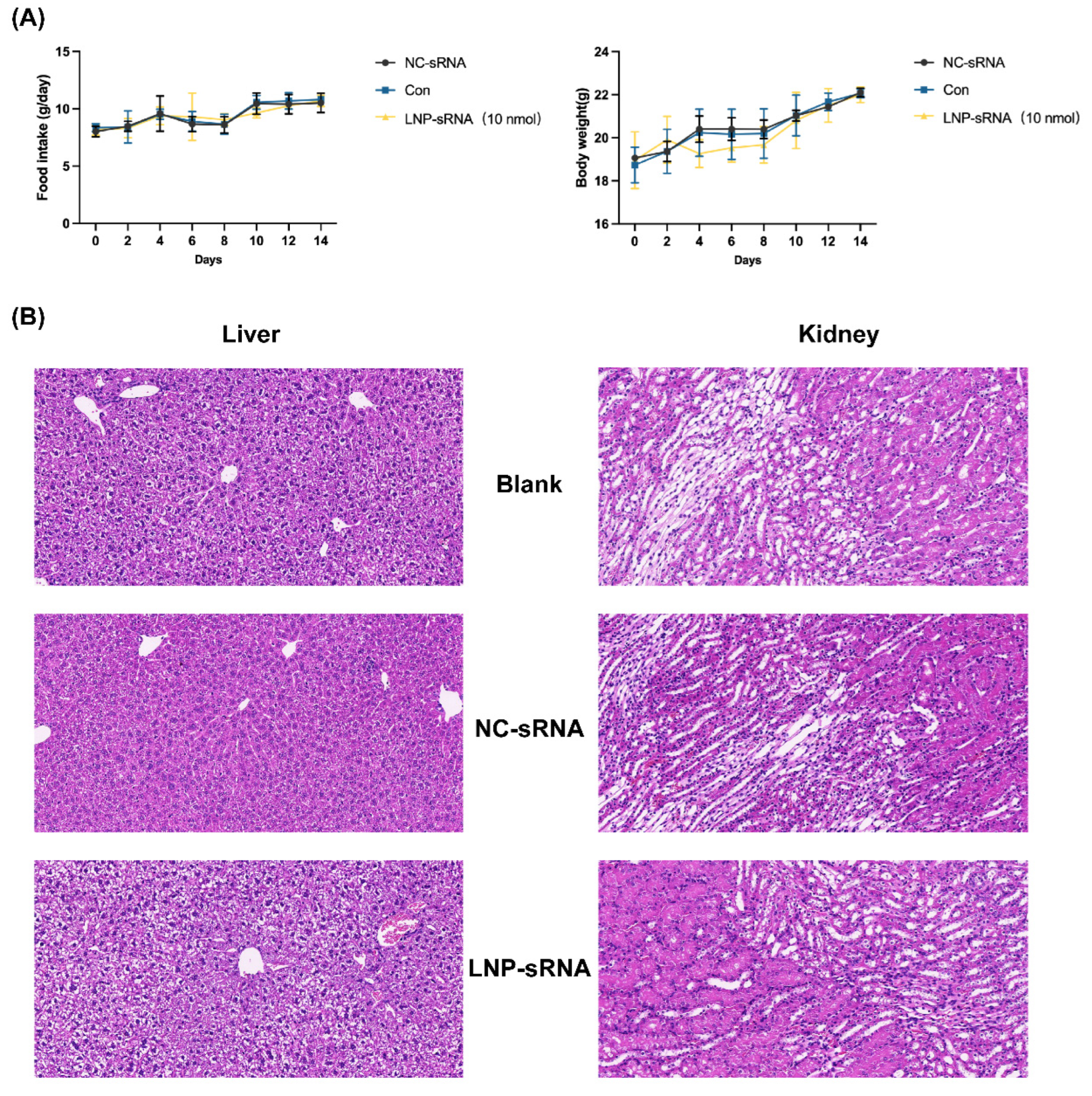 Pharmaceutics 17 00789 g006