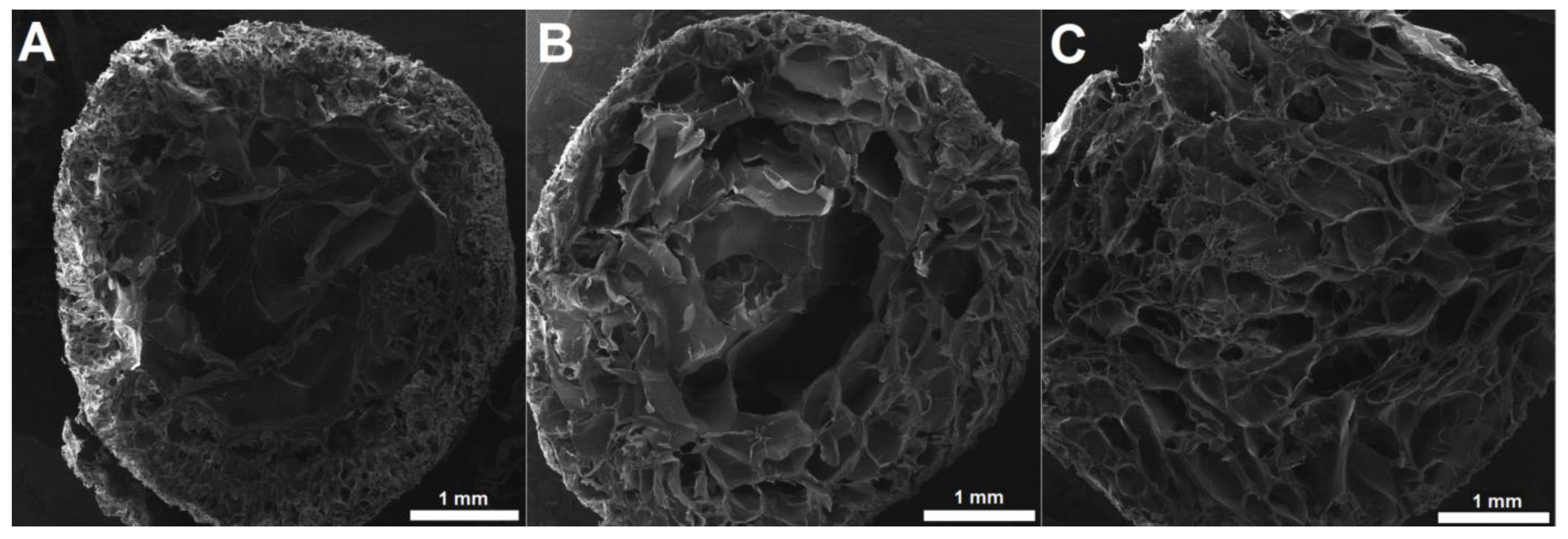 Pharmaceutics 17 00790 g002