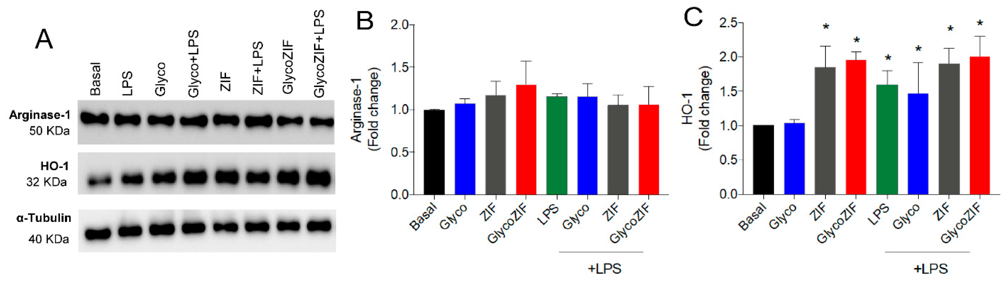 Pharmaceutics 17 00791 g004