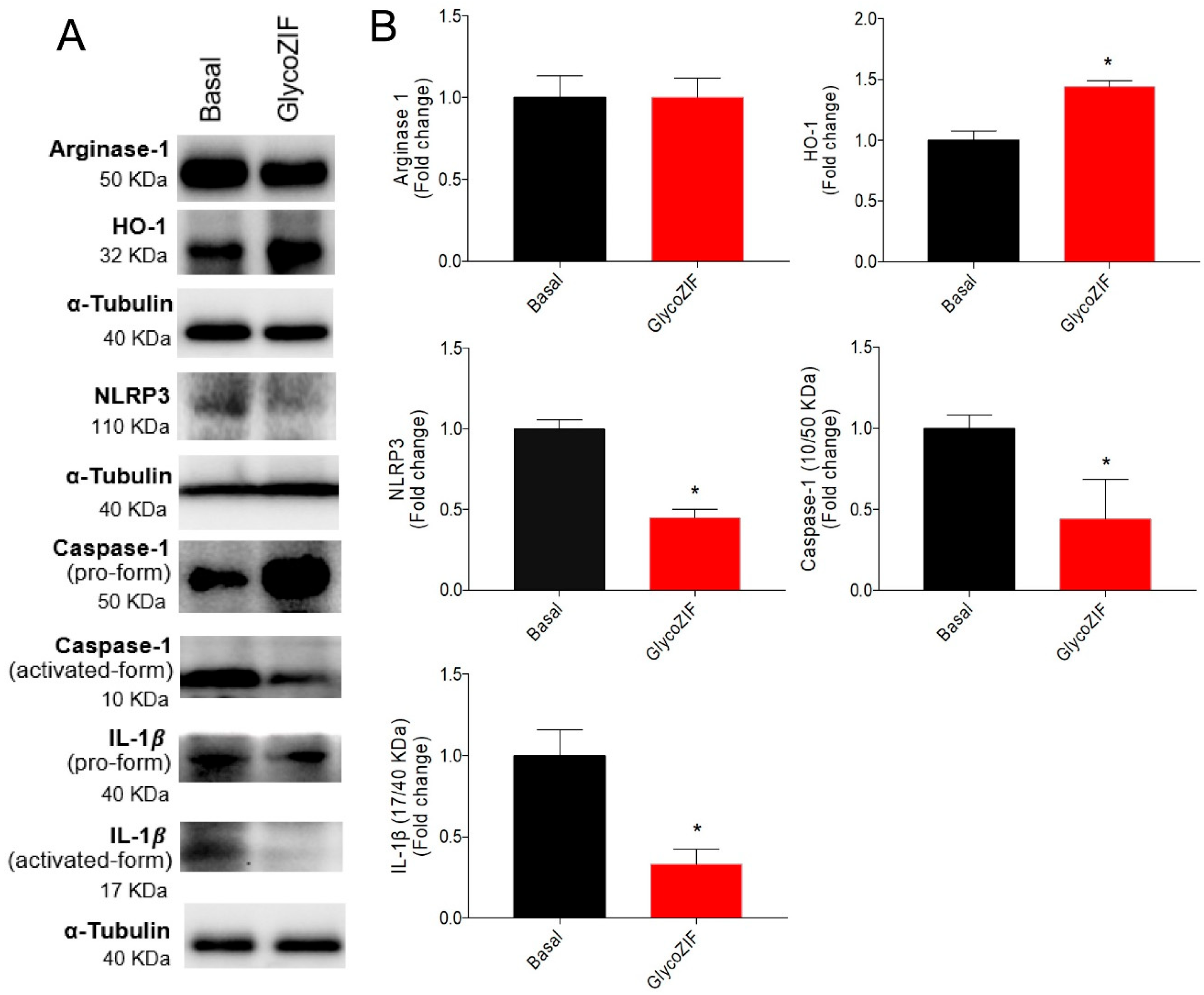 Pharmaceutics 17 00791 g006