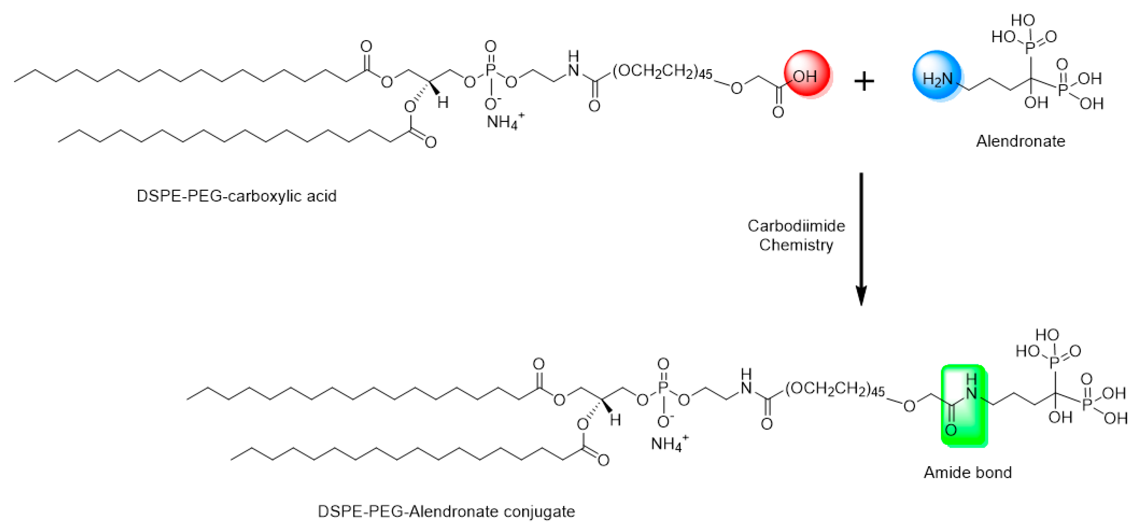 Pharmaceutics 17 00792 g001