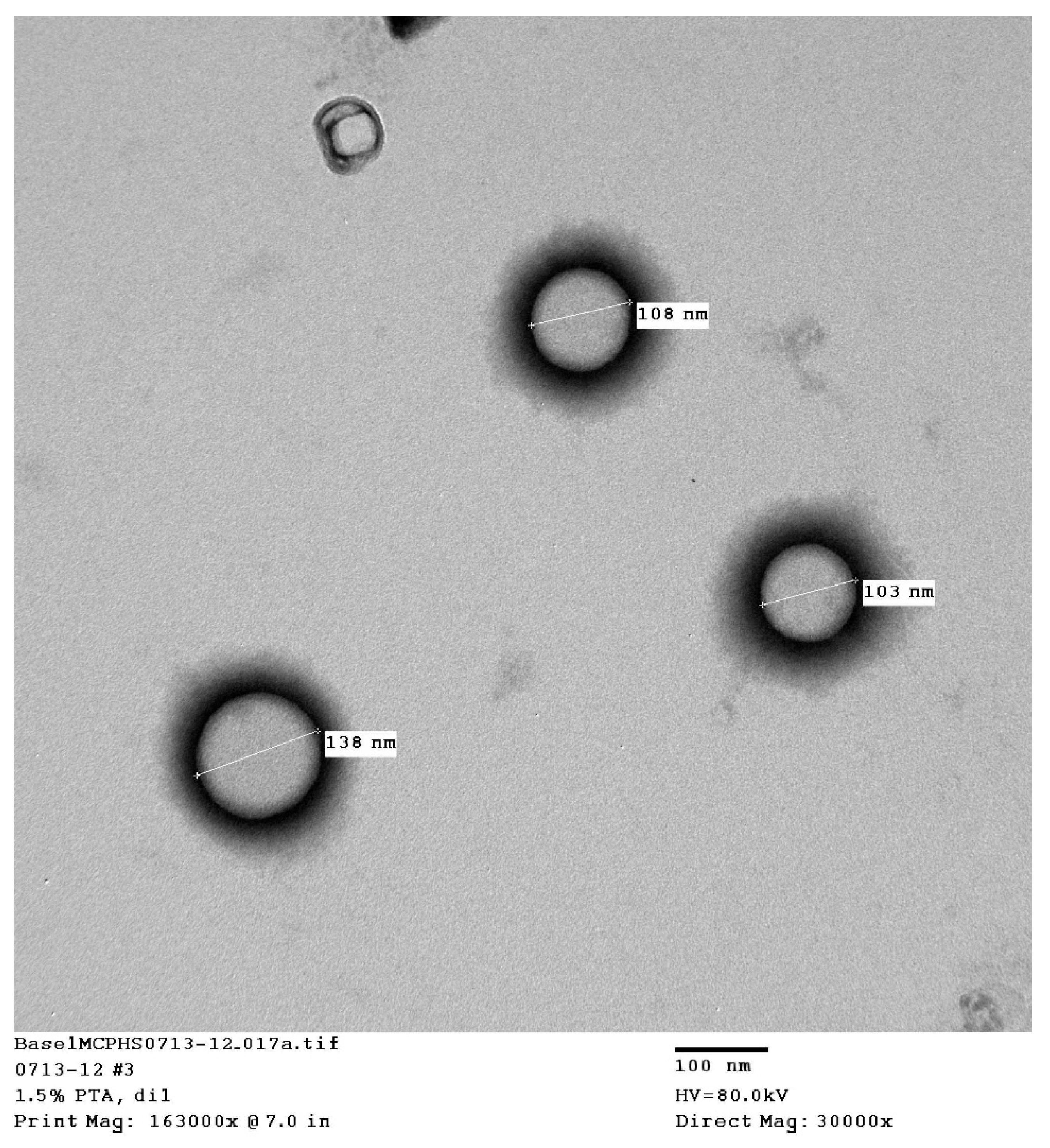 Pharmaceutics 17 00792 g002