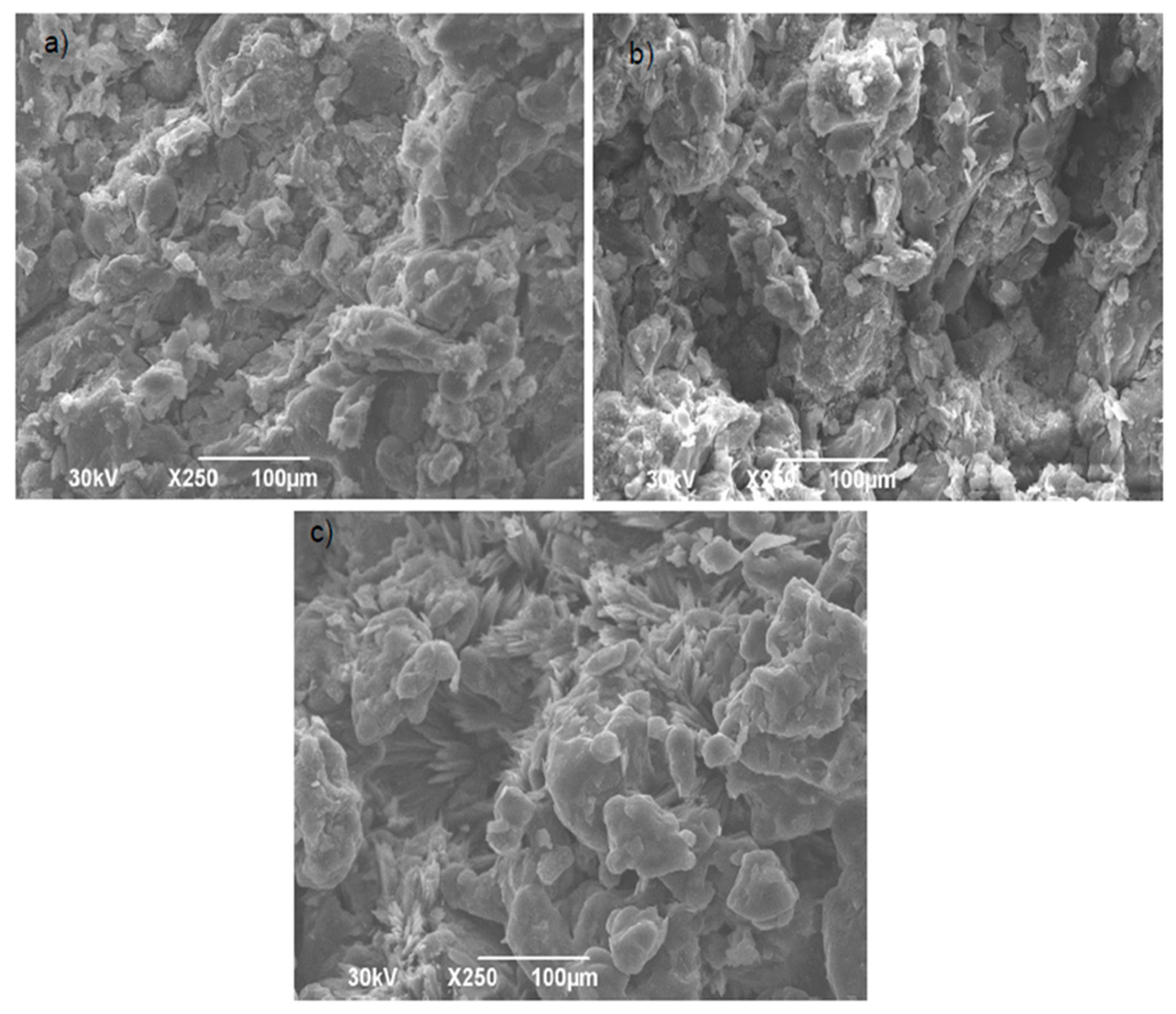 Pharmaceutics 17 00794 g005