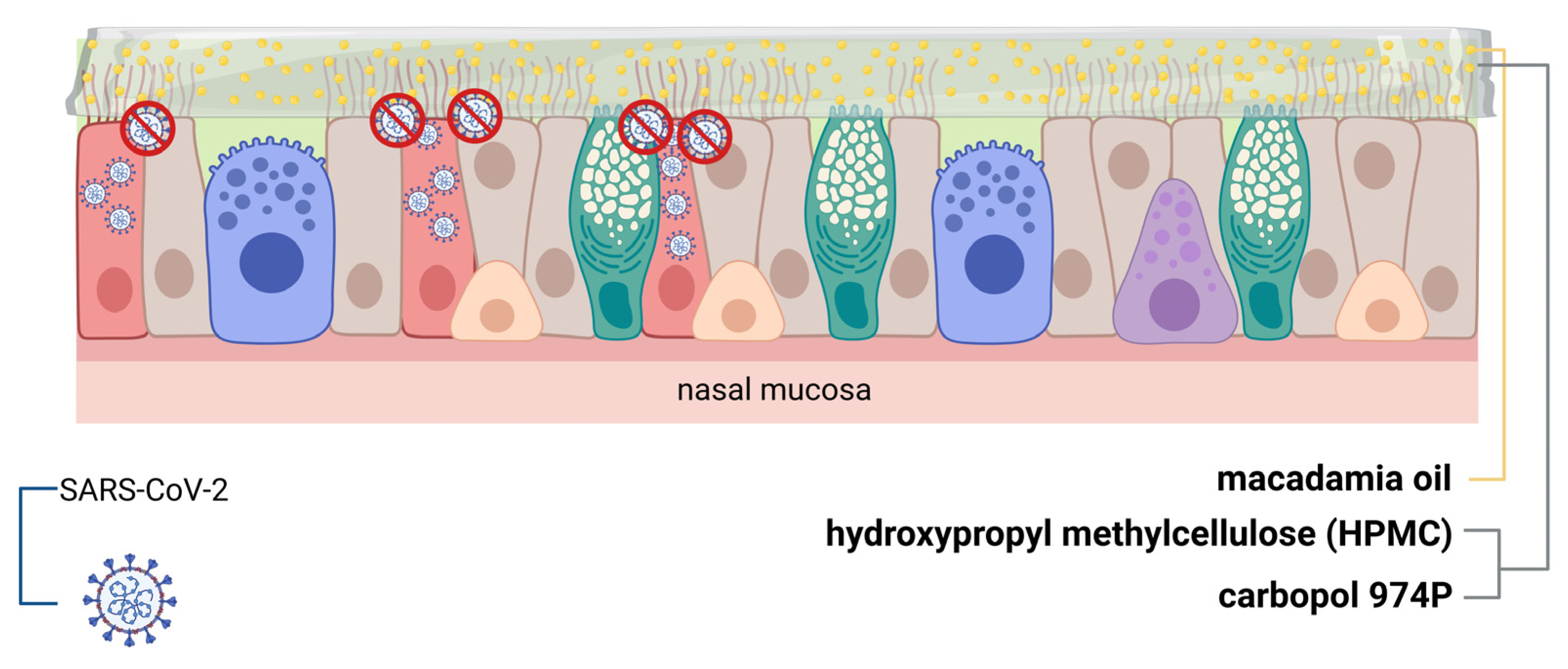 Pharmaceutics 17 00795 g001