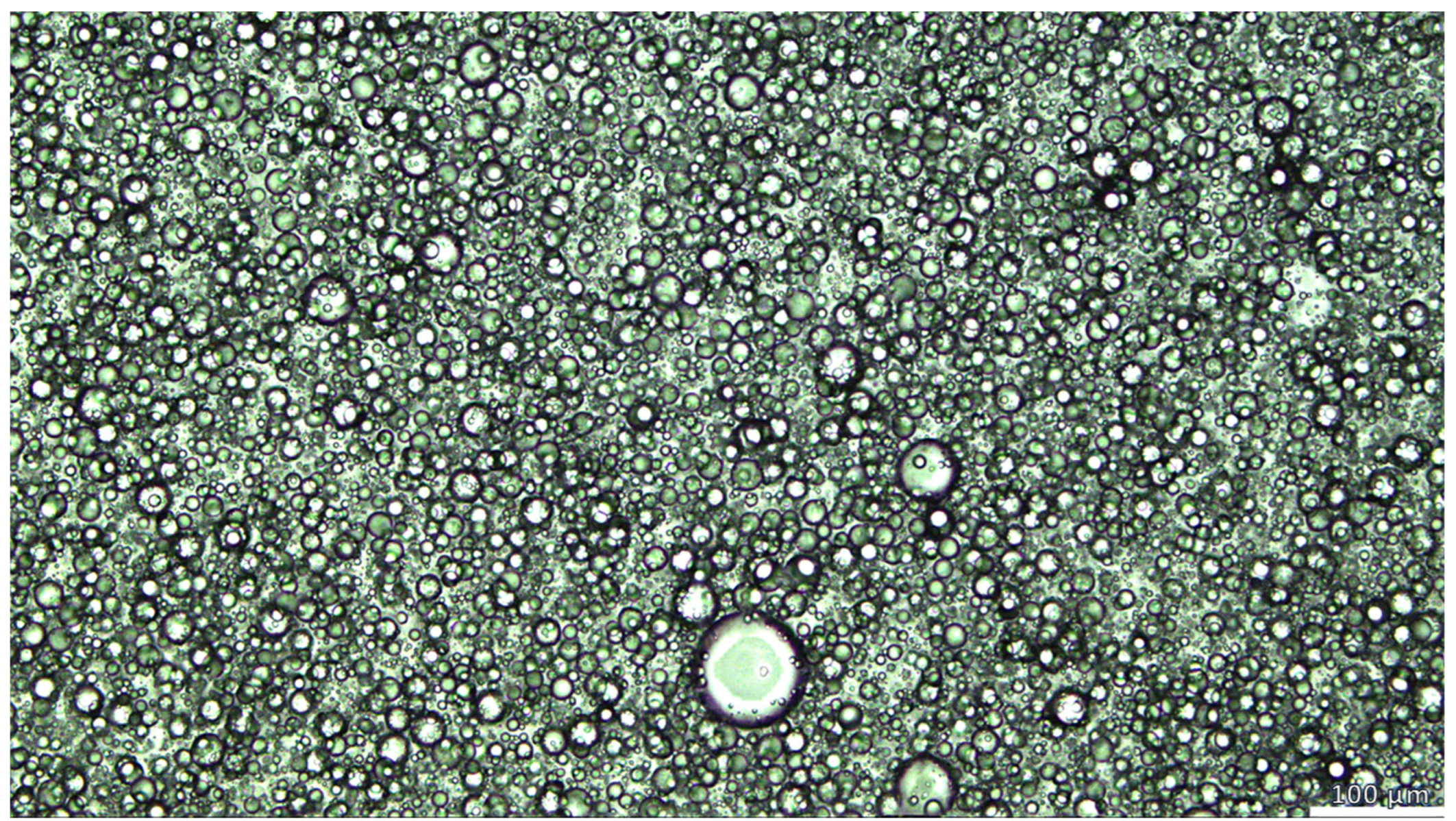 Pharmaceutics 17 00795 g002