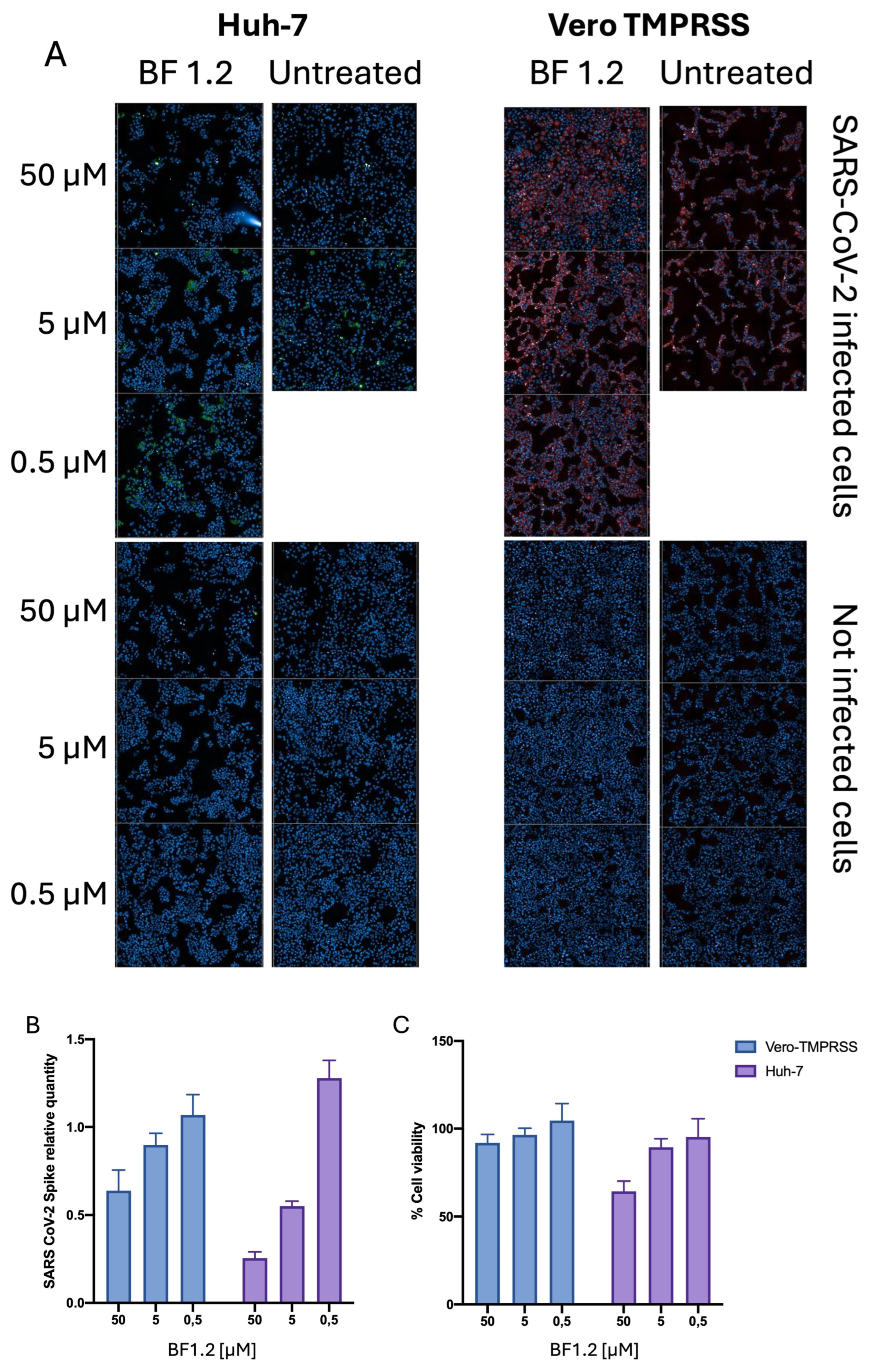 Pharmaceutics 17 00795 g004