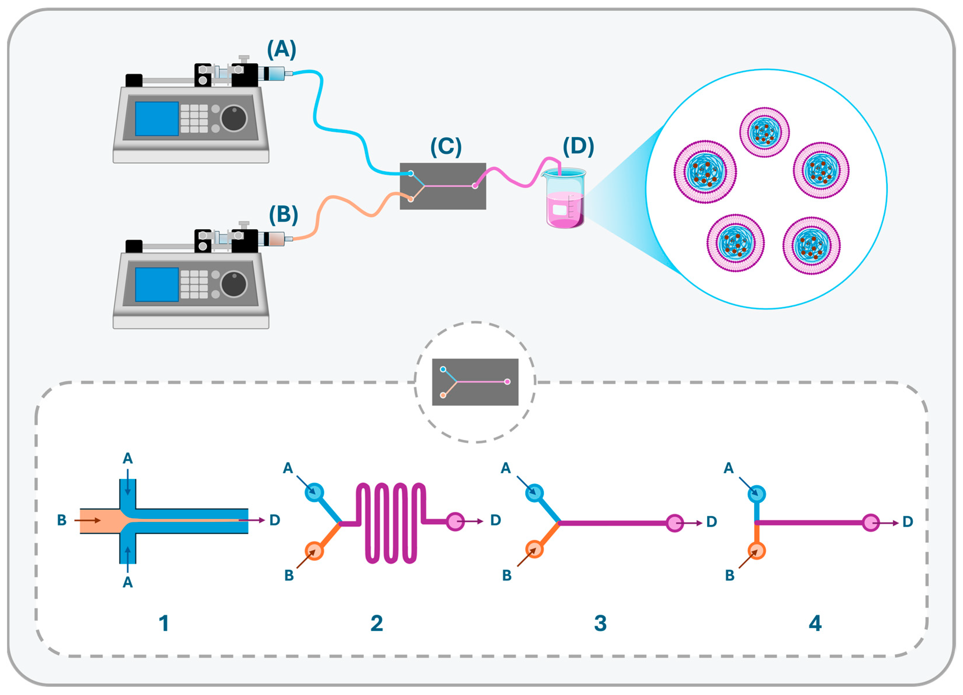 Pharmaceutics 17 00797 g004