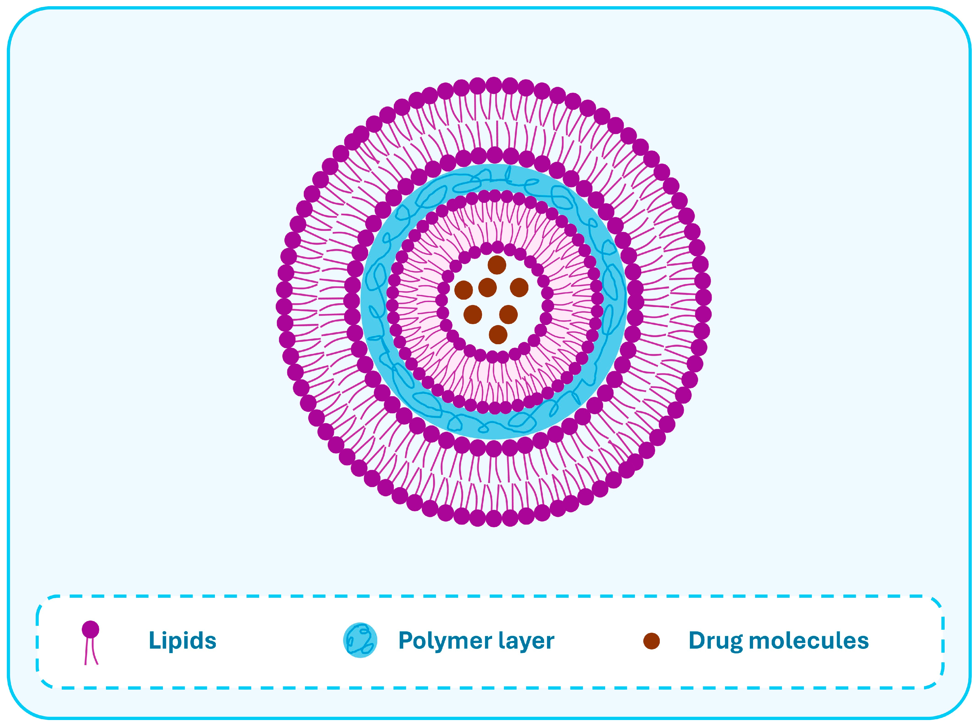 Pharmaceutics 17 00797 g005