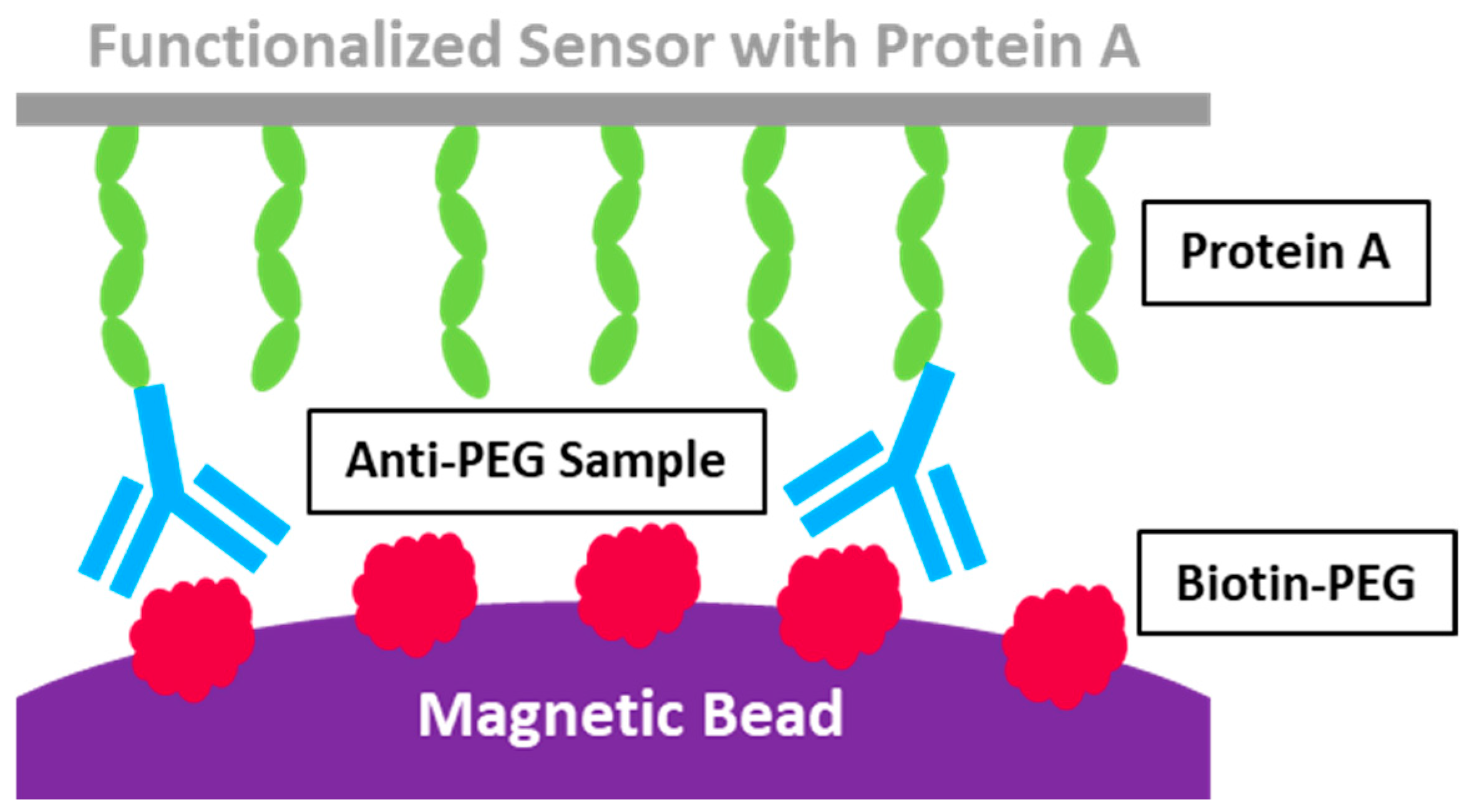 Pharmaceutics 17 00798 g003
