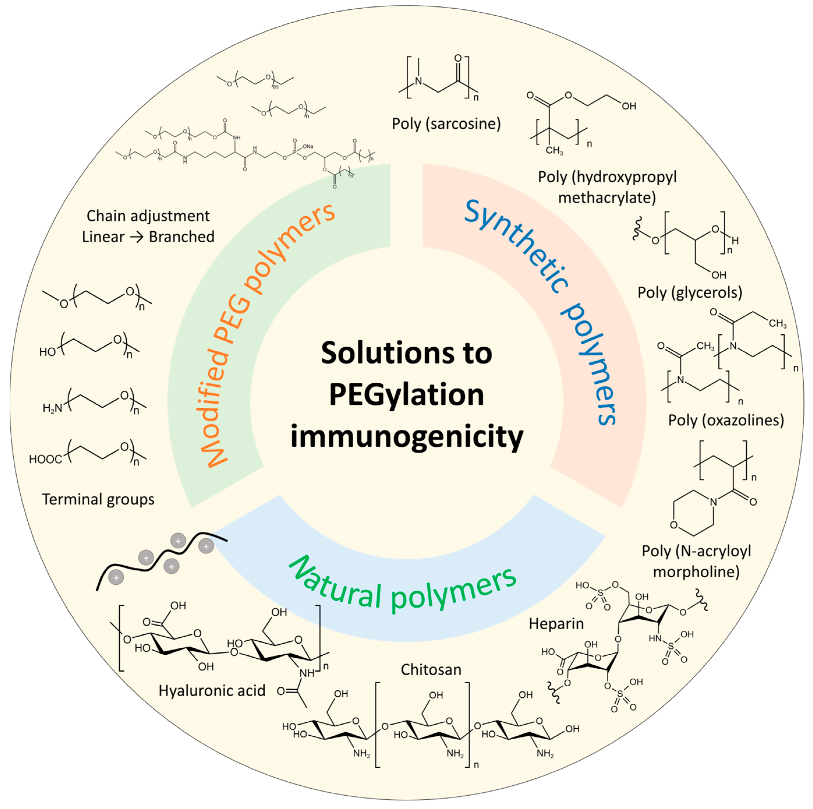 Pharmaceutics 17 00798 g005