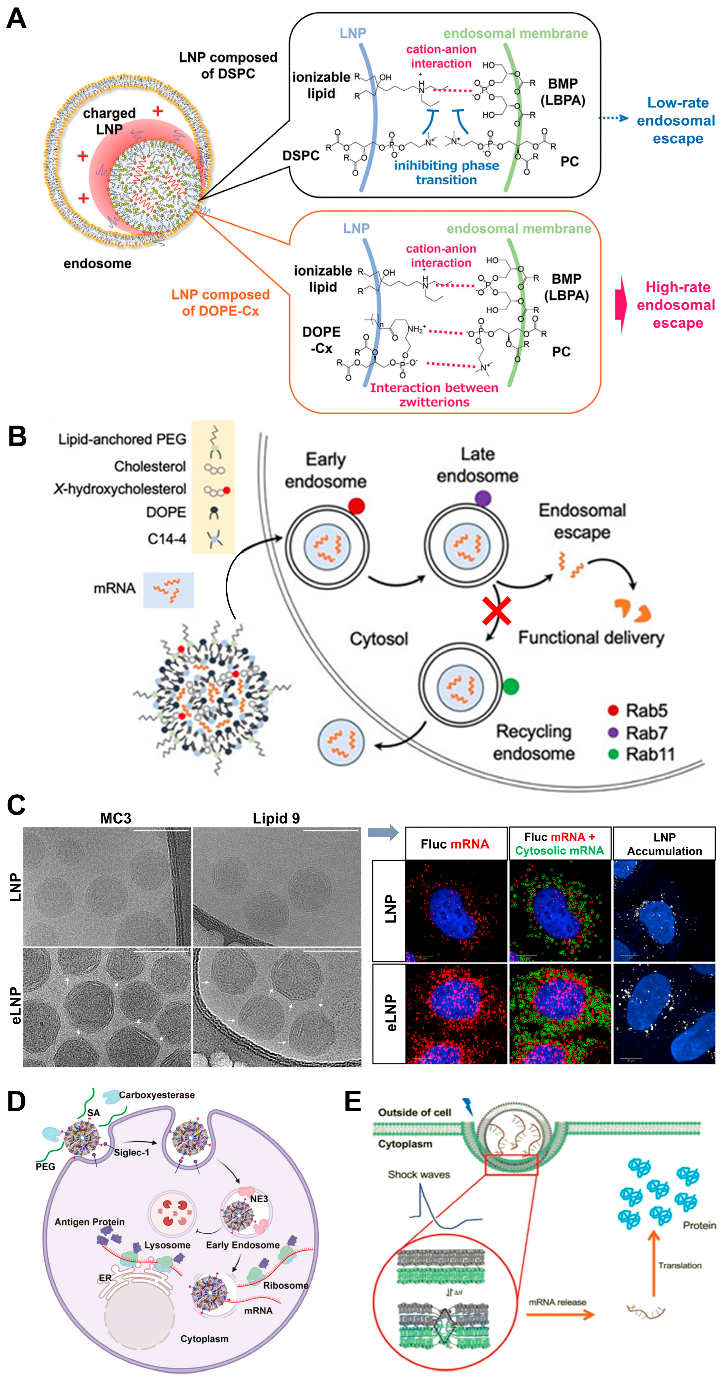 Pharmaceutics 17 00803 g003