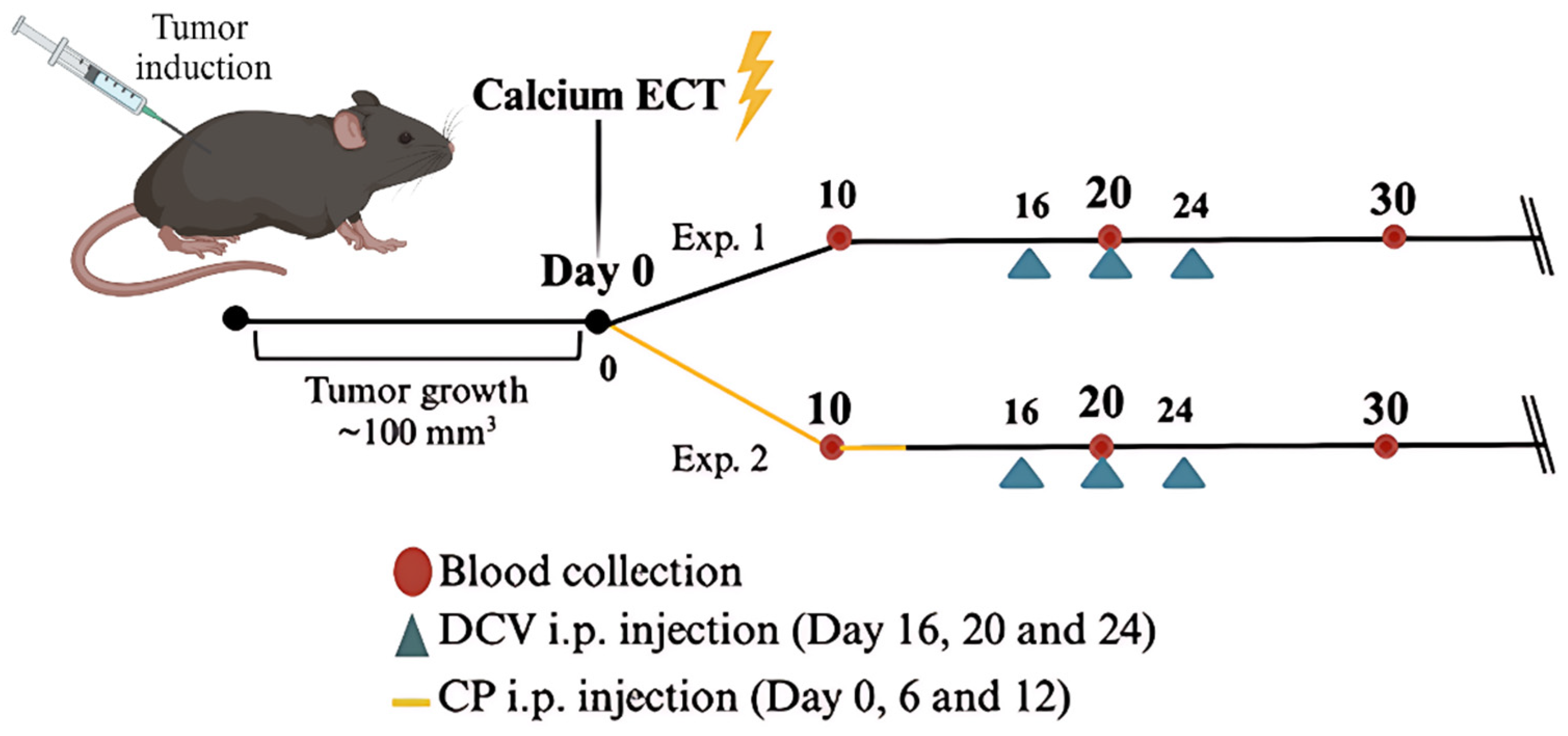 Pharmaceutics 17 00804 g001