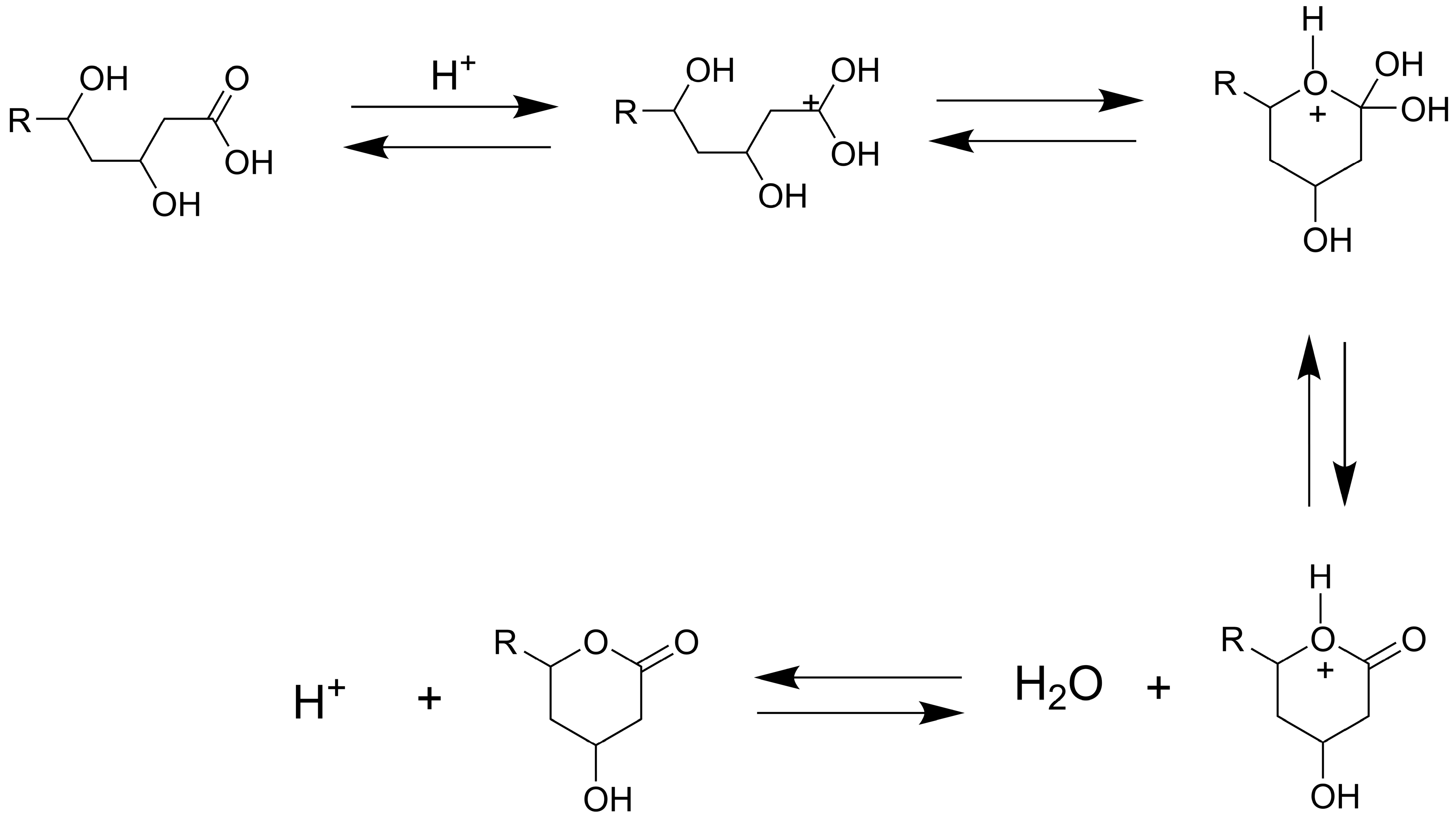 Pharmaceutics 17 00808 g003