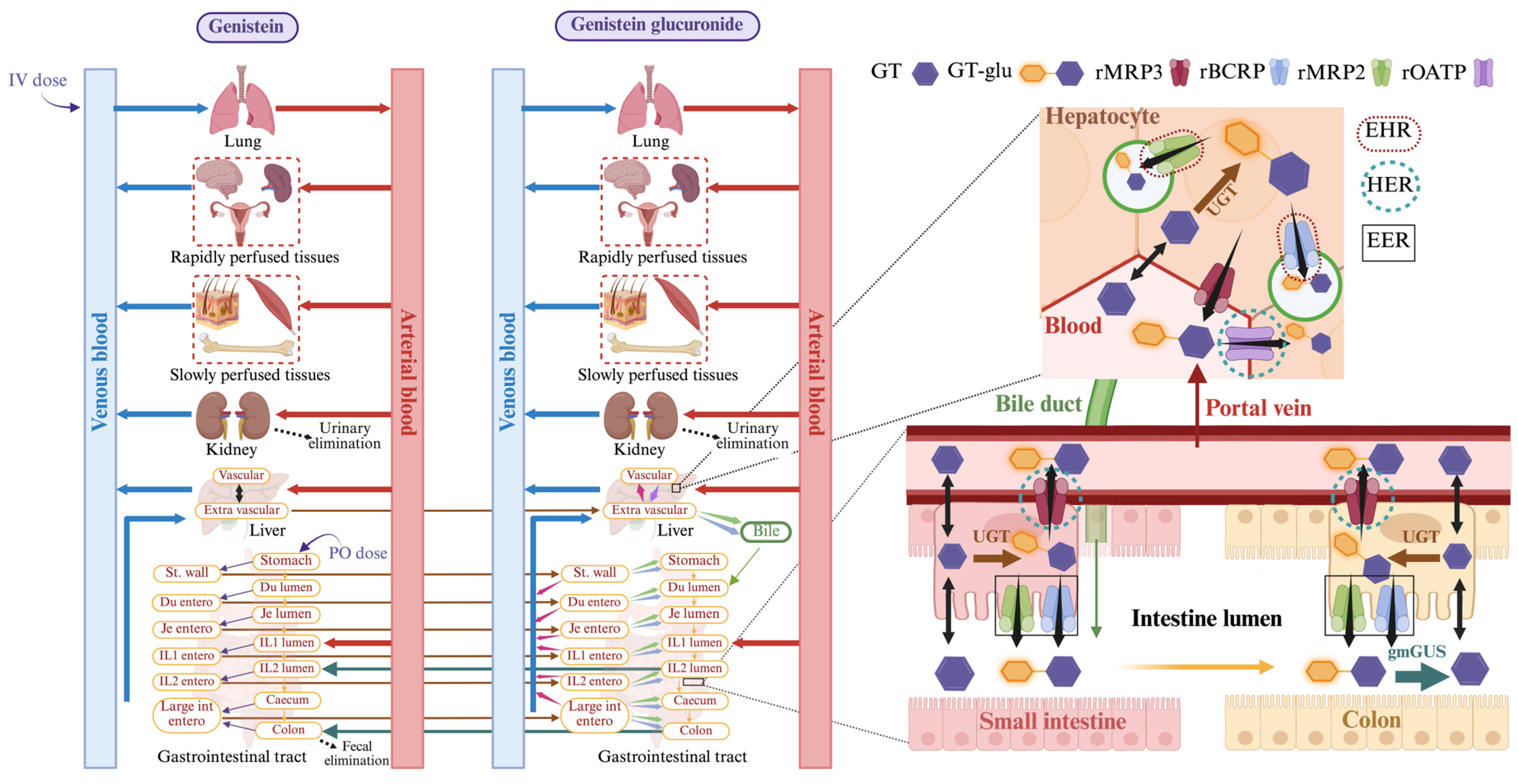 Pharmaceutics 17 00814 g001 Pharmaceutics 17 00814 g001