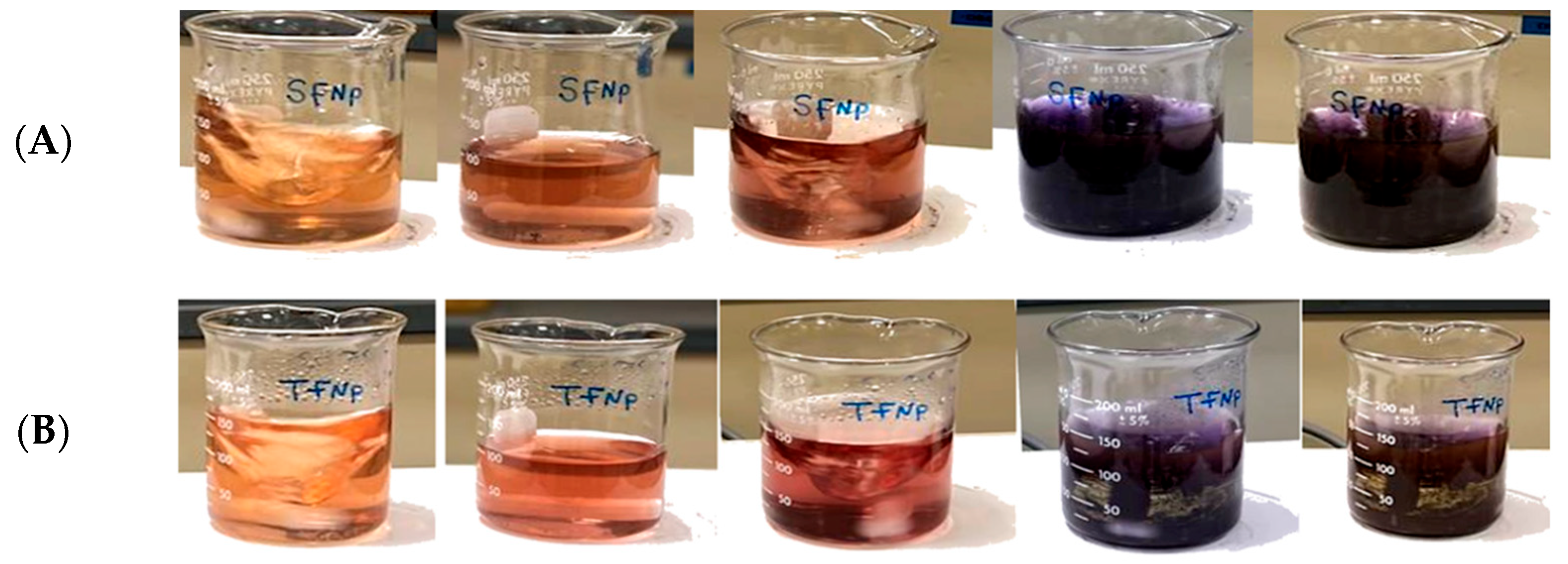 Pharmaceutics 17 00826 g006