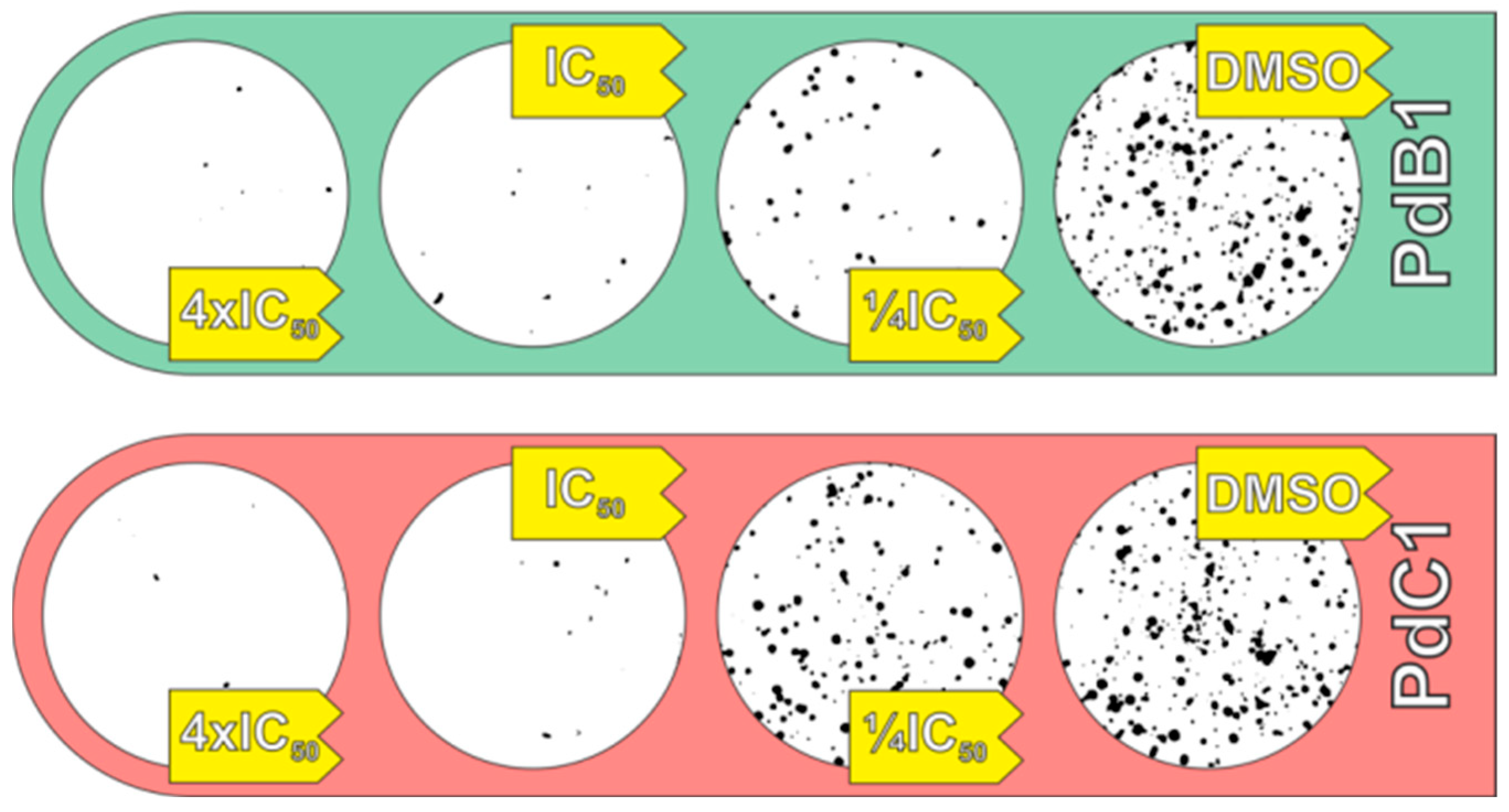 Pharmaceutics 17 00829 g003