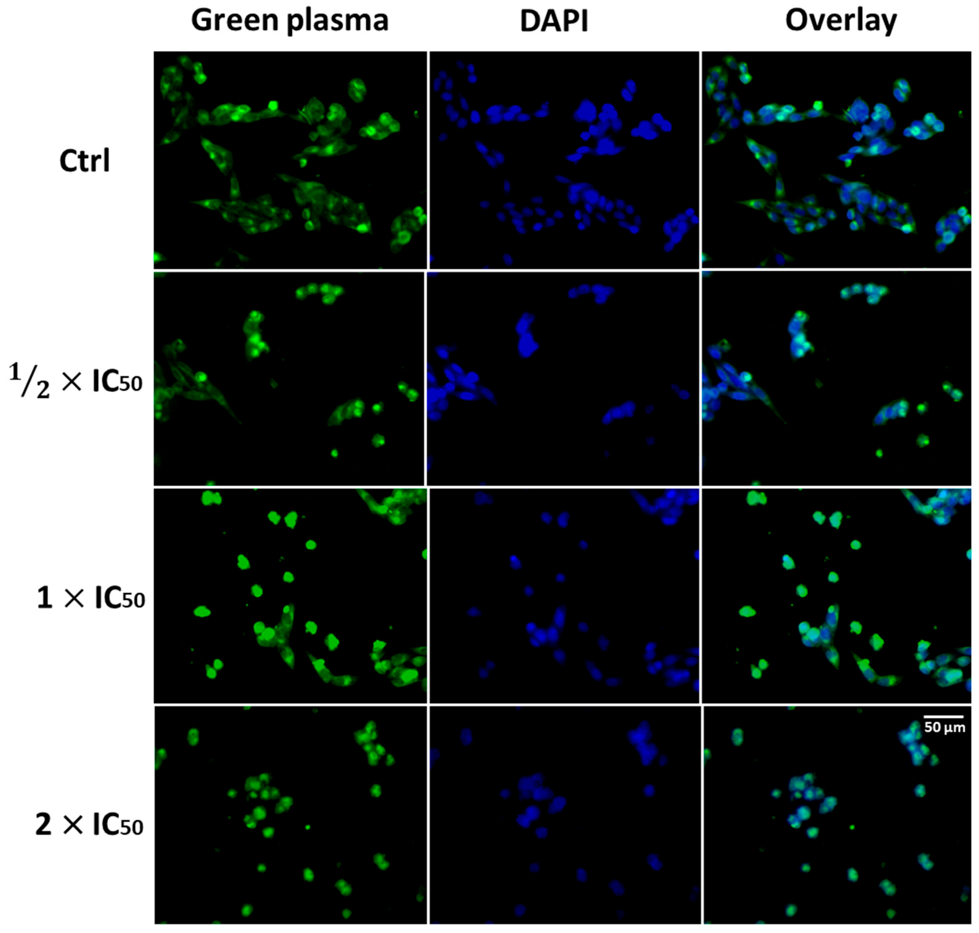 Pharmaceutics 17 00829 g006